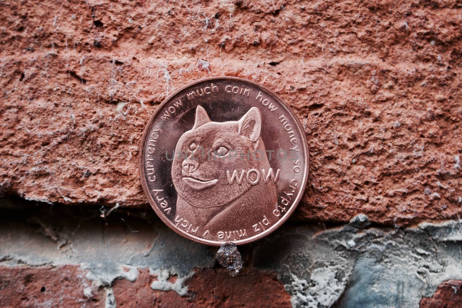 Digital currency physical brass dogecoin coin on brick wall.