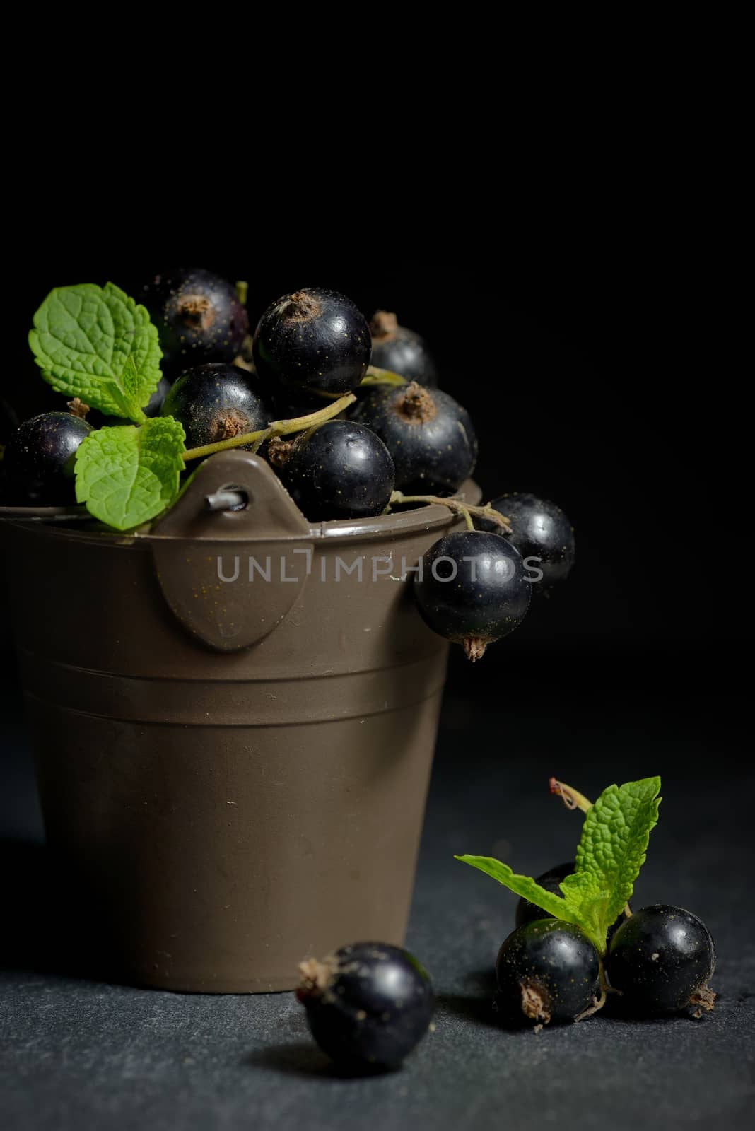 Black currant with mint  leaf isolated 