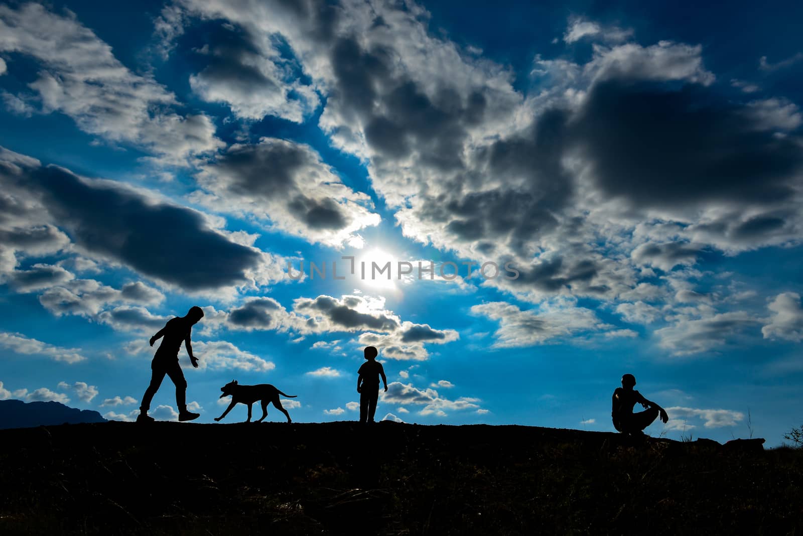 games with your dog in nature