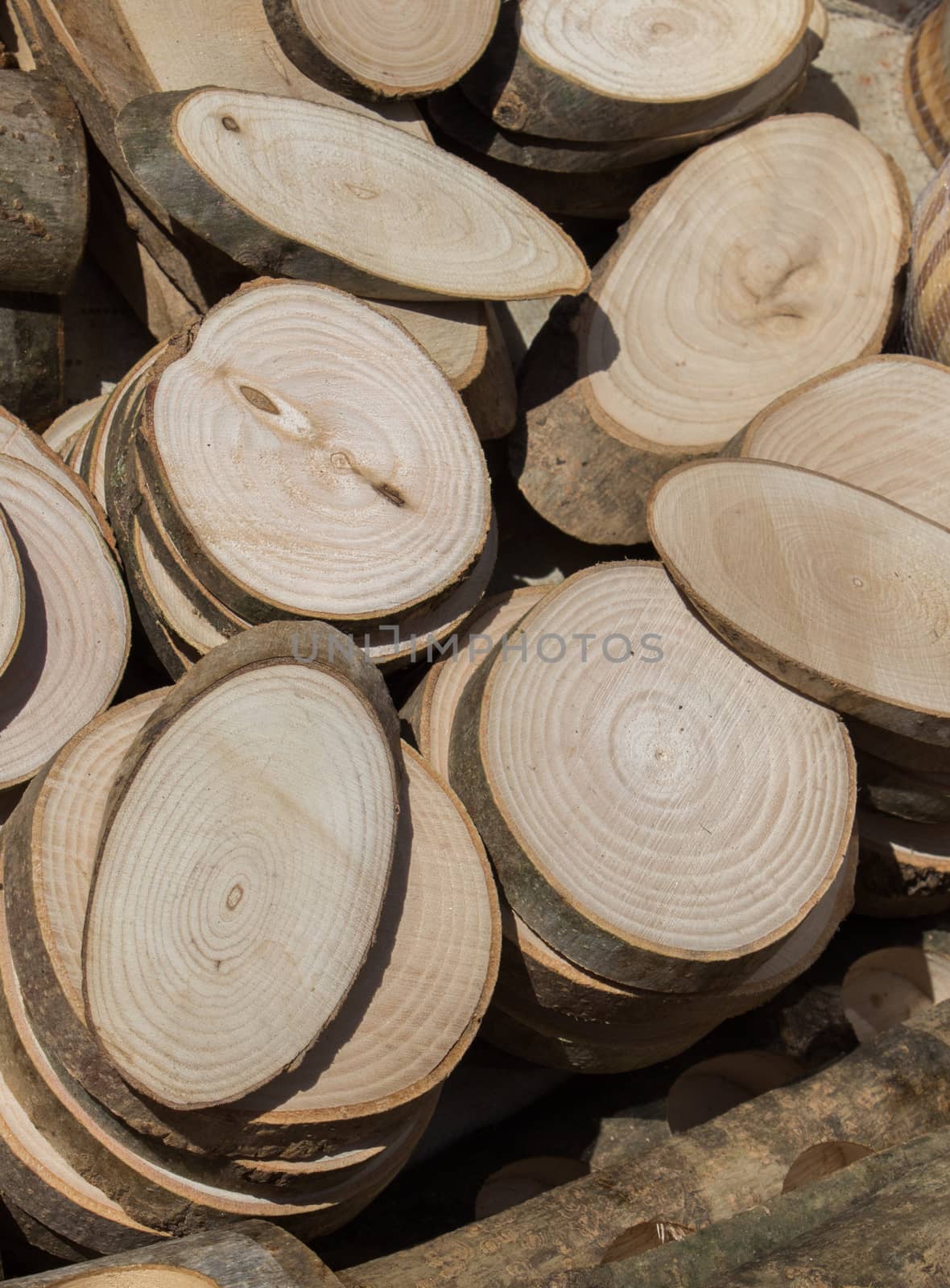 small piece of cut wood logs used for  wood texture background