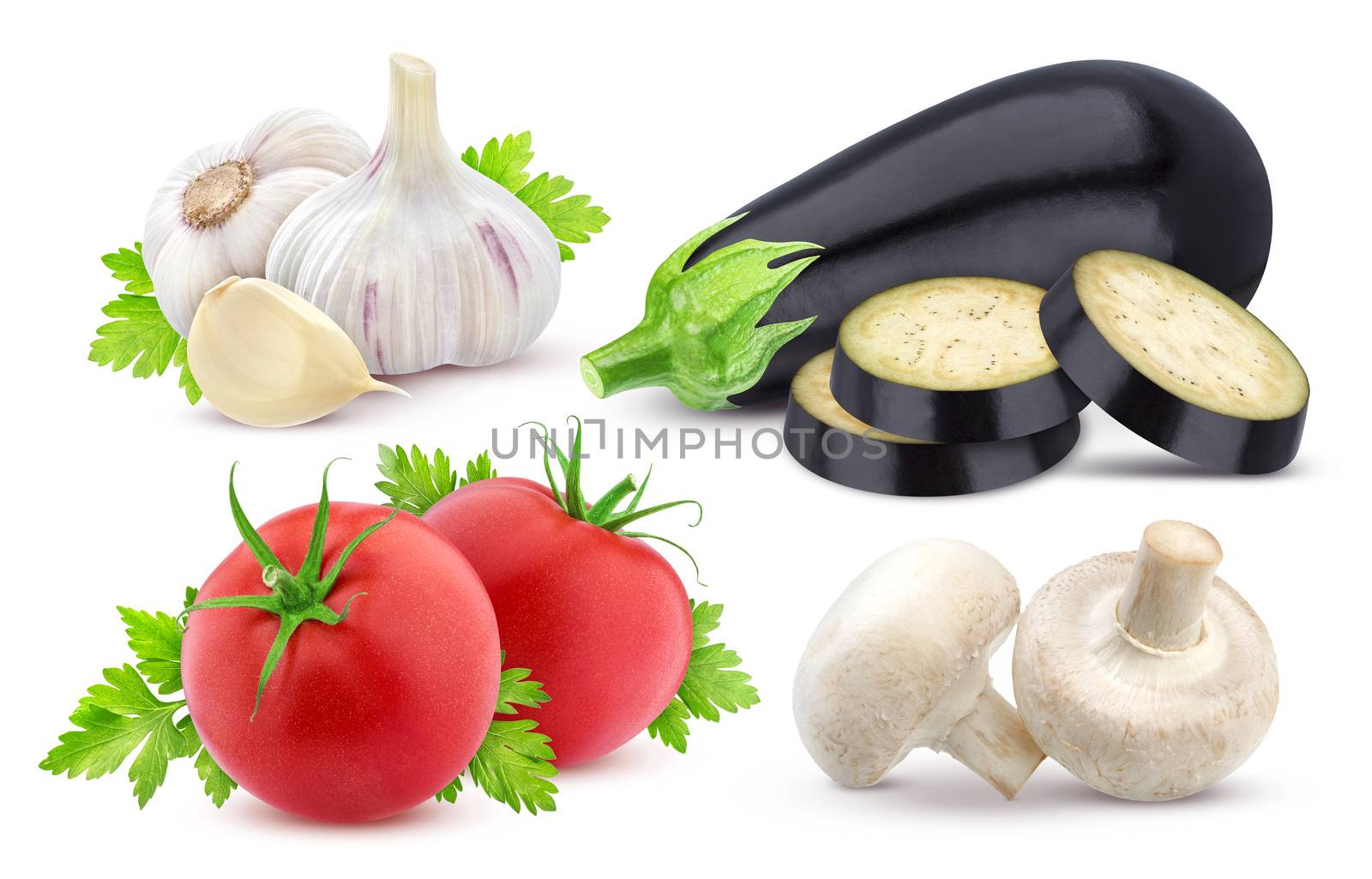 Fresh vegetables isolated. Eggplant, tomato and garlic isolated on white background with clipping path