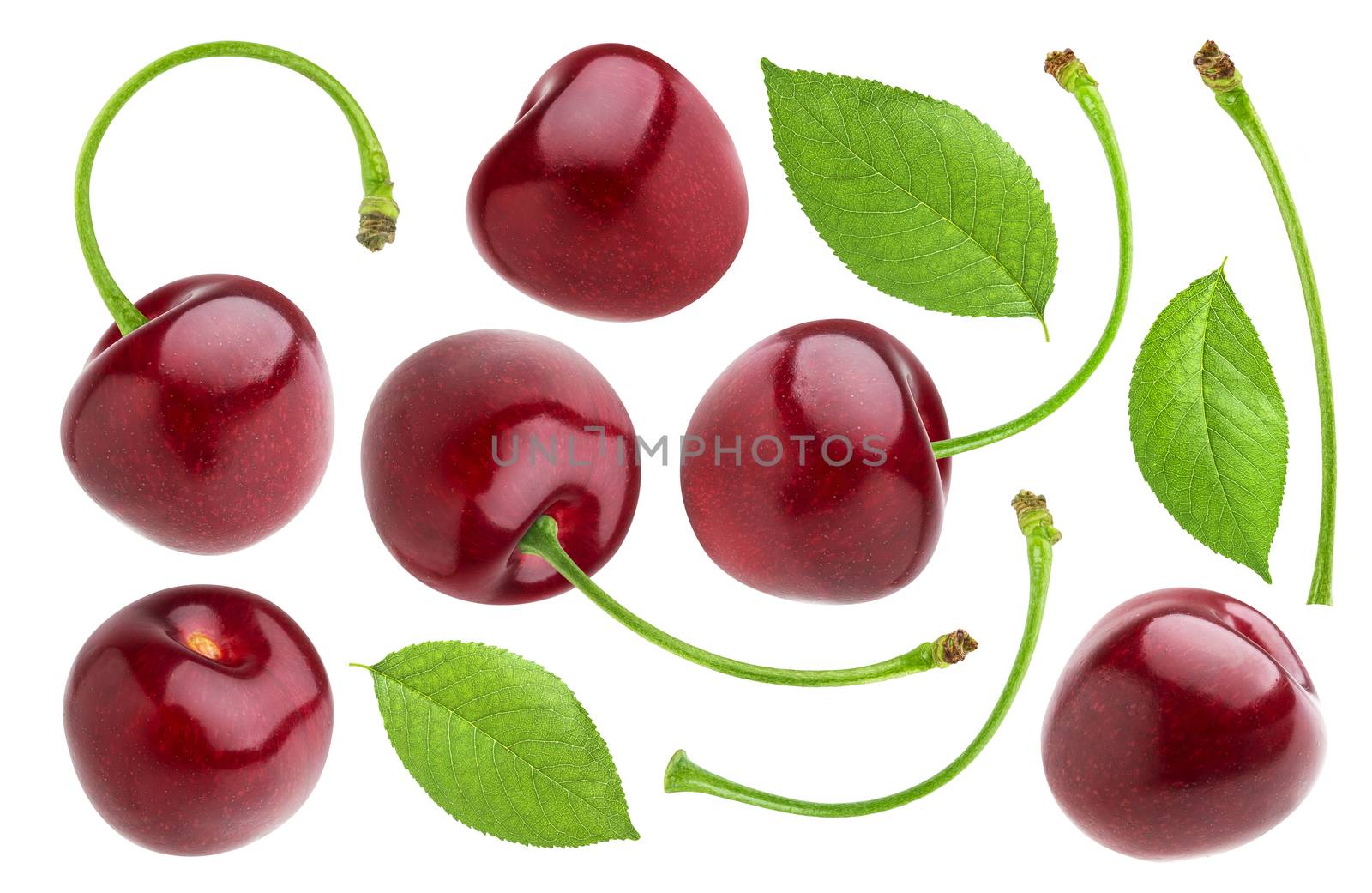 Cherry isolated on white background by xamtiw