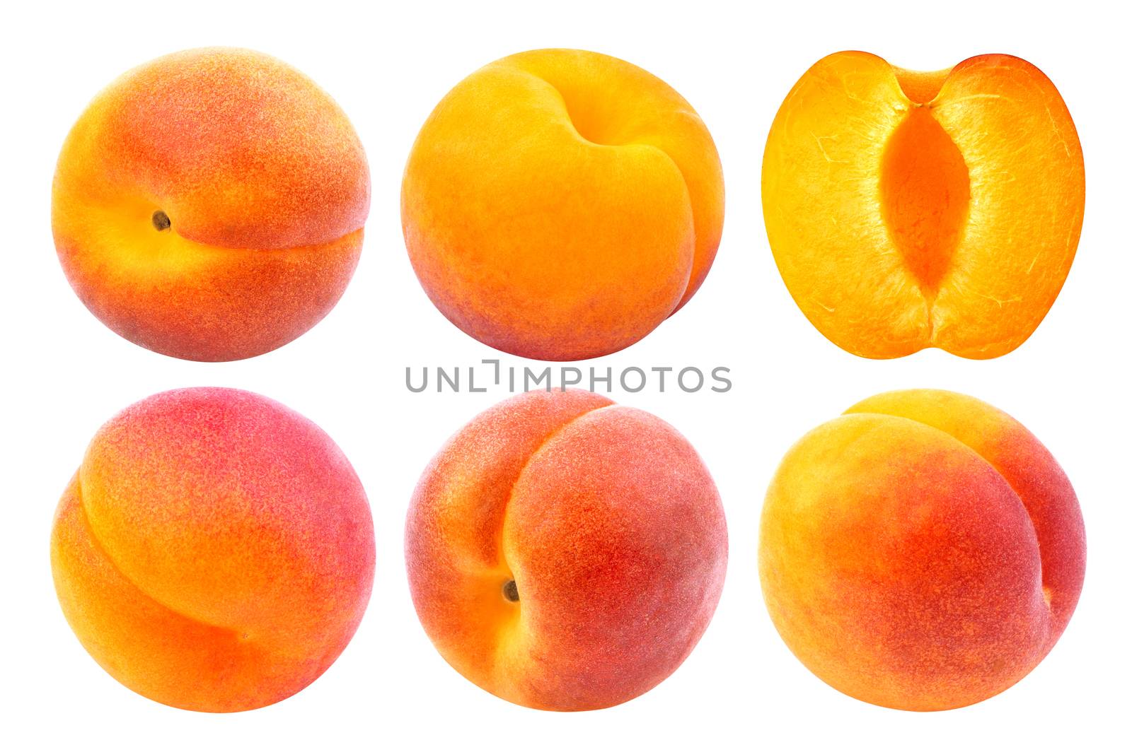 Apricot isolated on white background by xamtiw