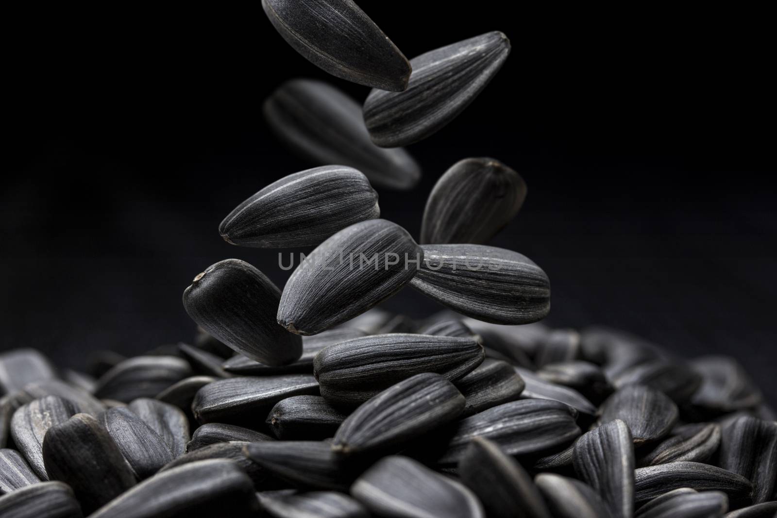 Falling black sunflower seeds close-up on dark background
