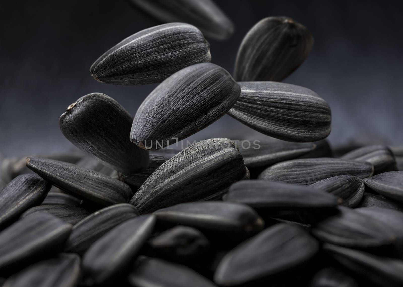 Falling black sunflower seeds close-up on dark background