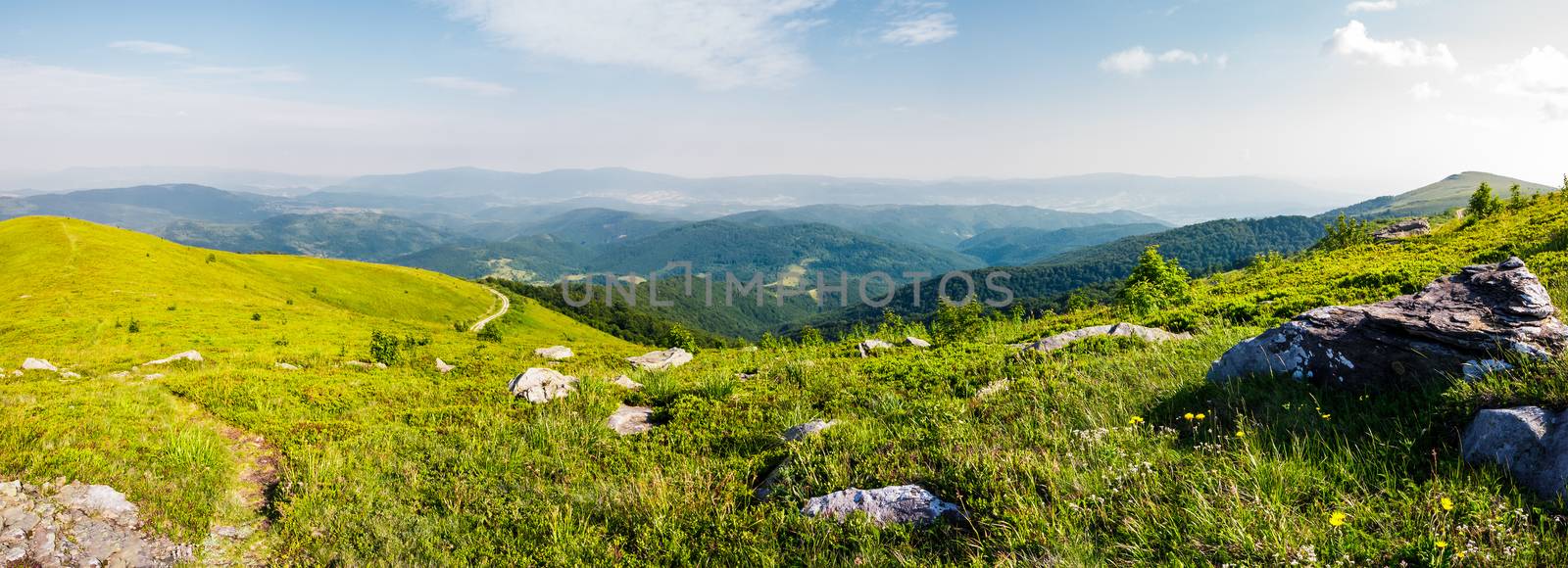 panoramic view from the hillside by Pellinni