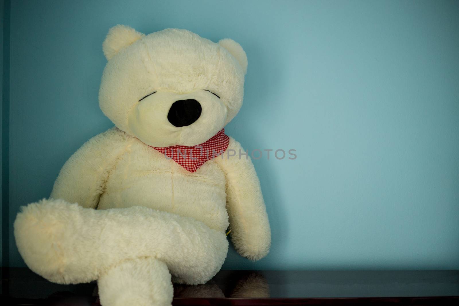 teddy bear relaxes sitting by antpkr