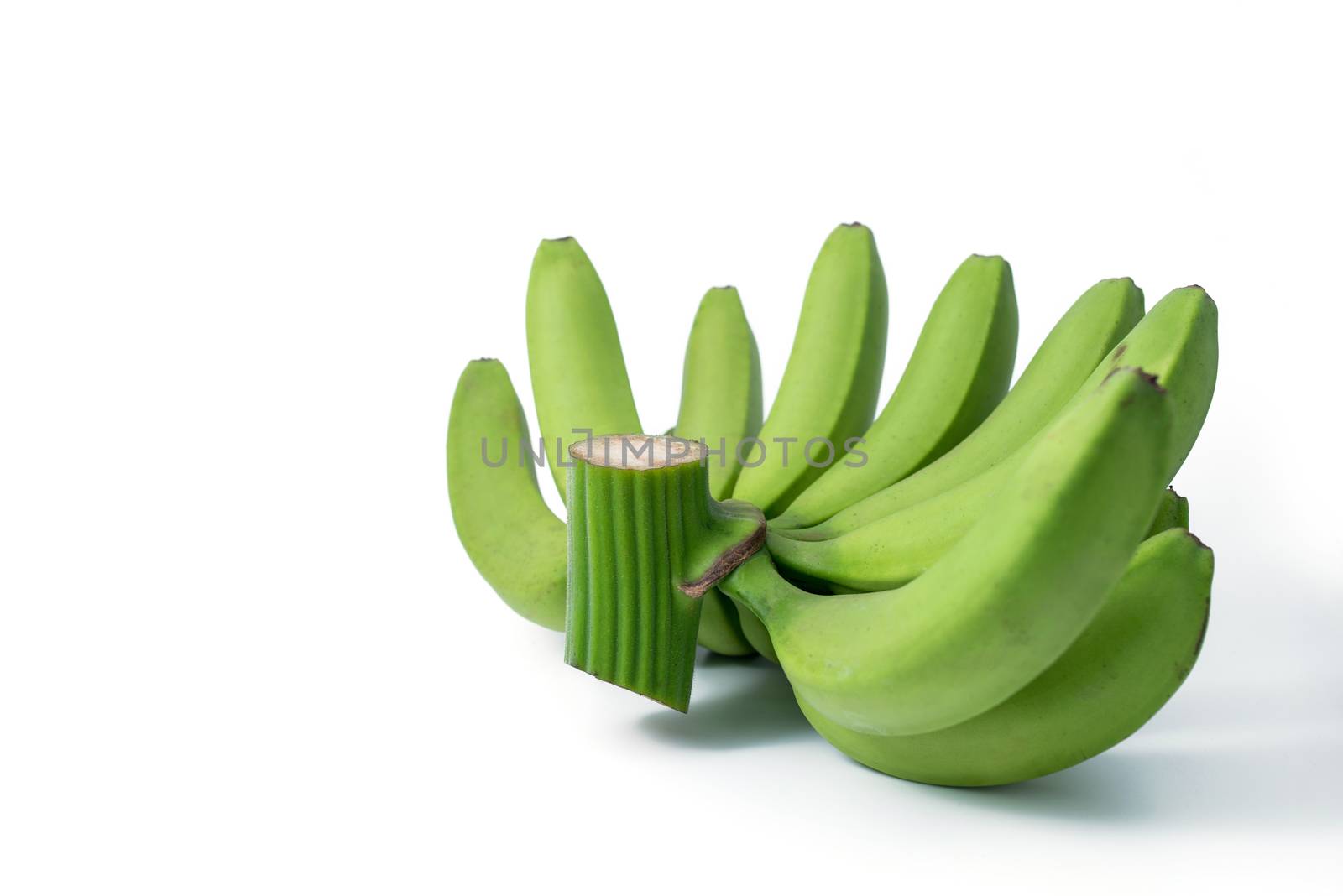 bunch of green bananas by antpkr