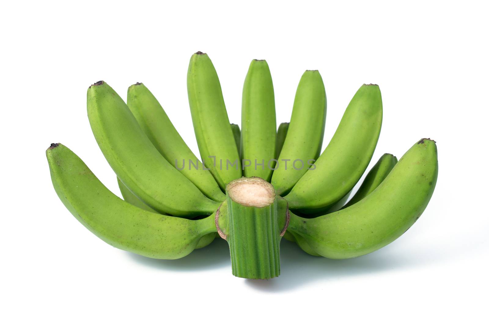 bunch of green bananas isolated on white background