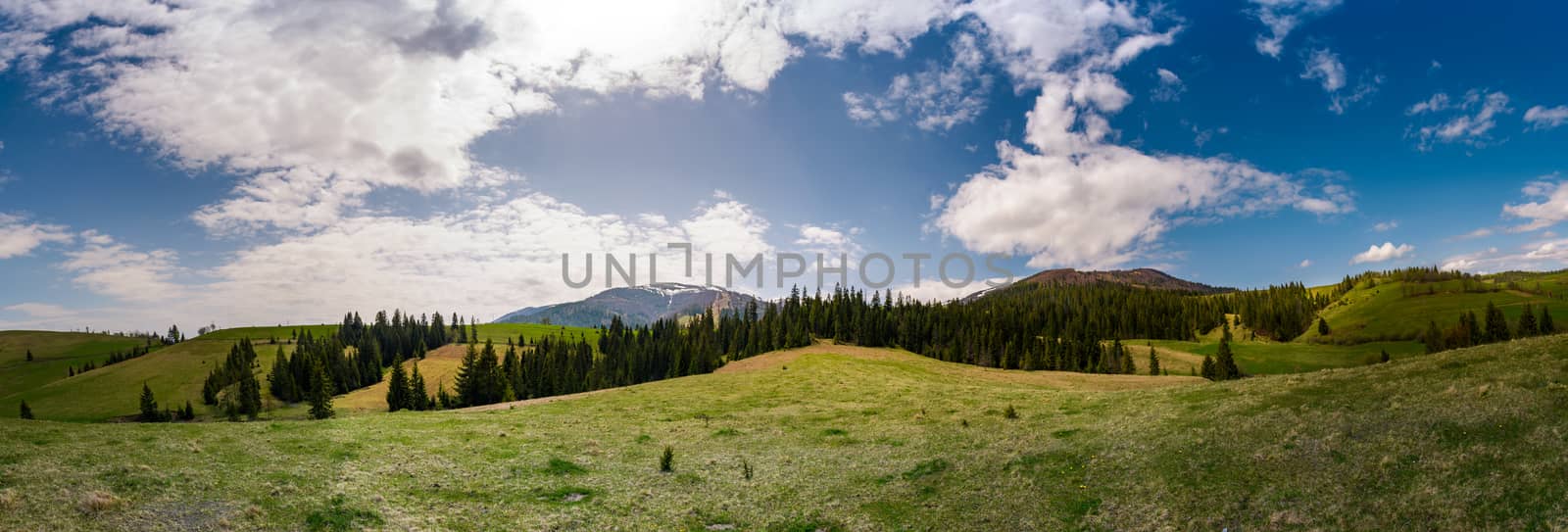 beautiful panorama of mountainous area in spring by Pellinni
