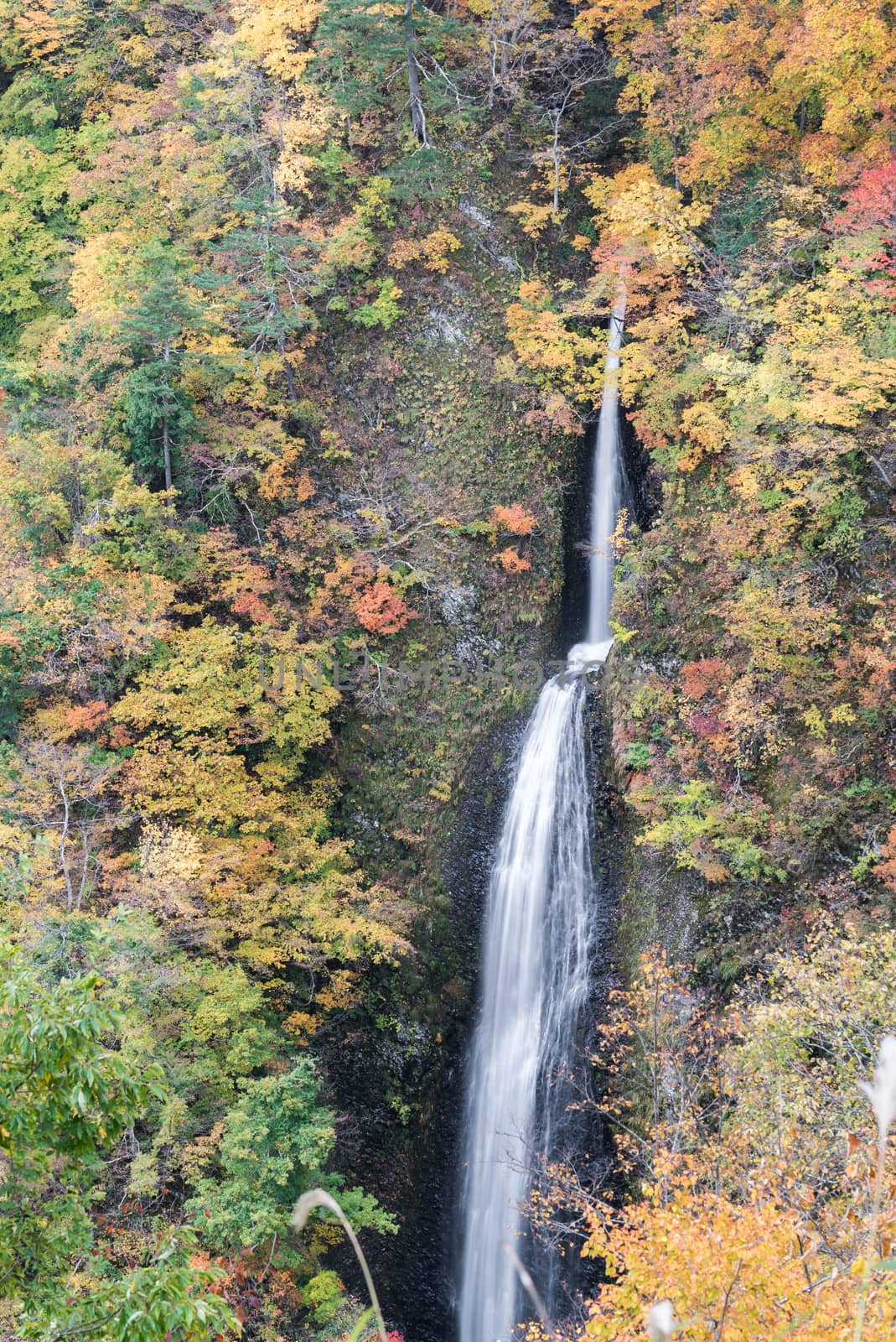 Tsumijikura Taki waterfall Fukushima by vichie81