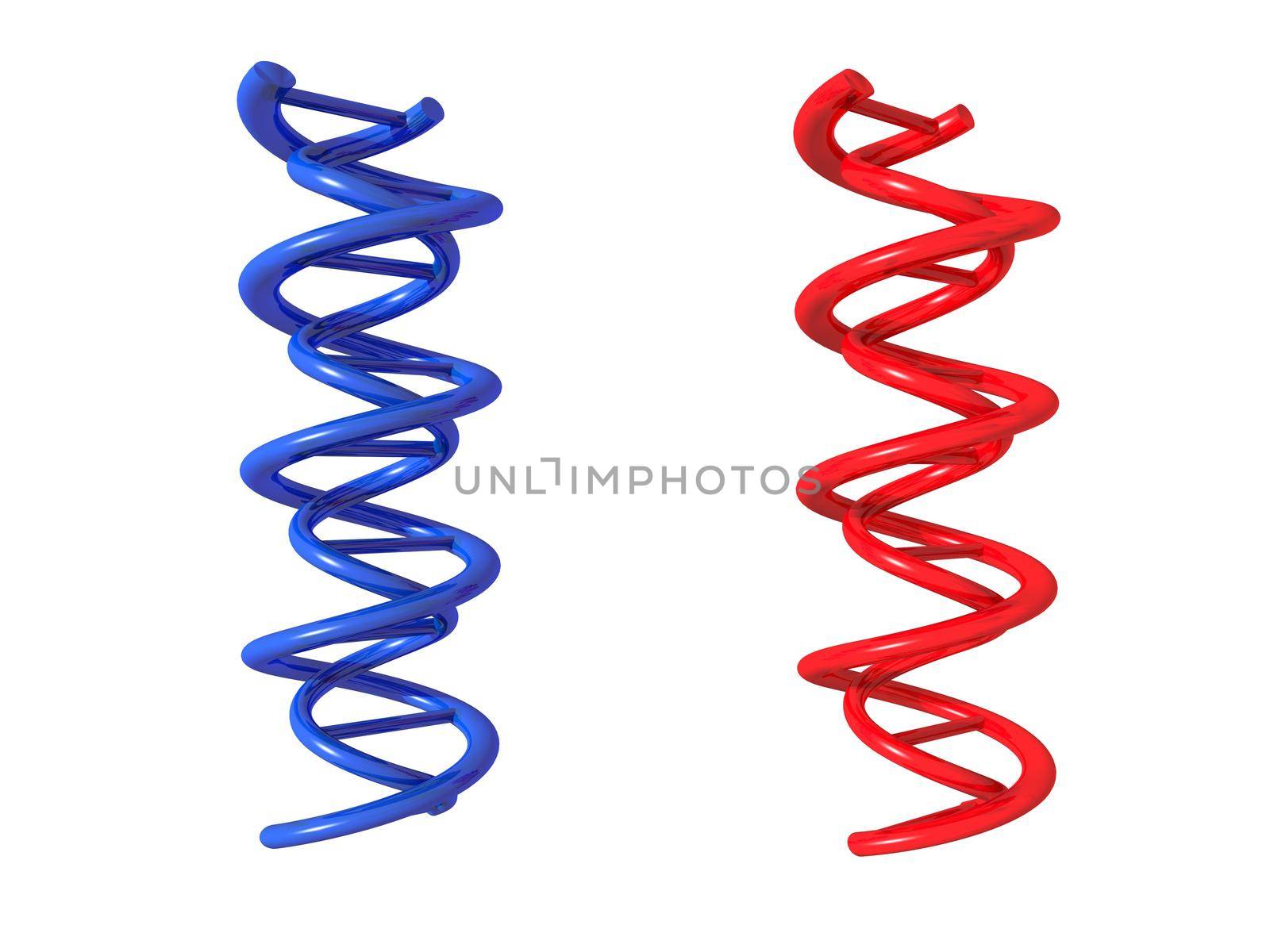 dna symbol red and blue on it isolated in white background - 3d rendering