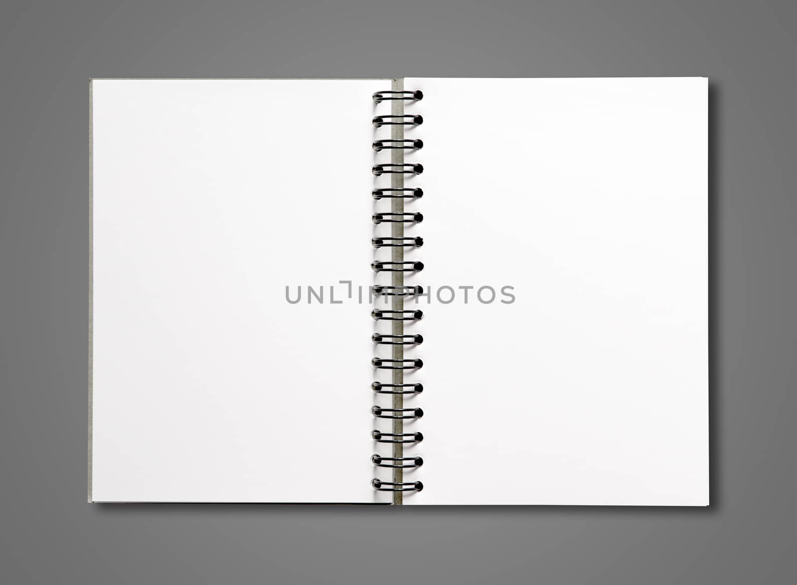 Blank open spiral notebook isolated on dark grey by daboost