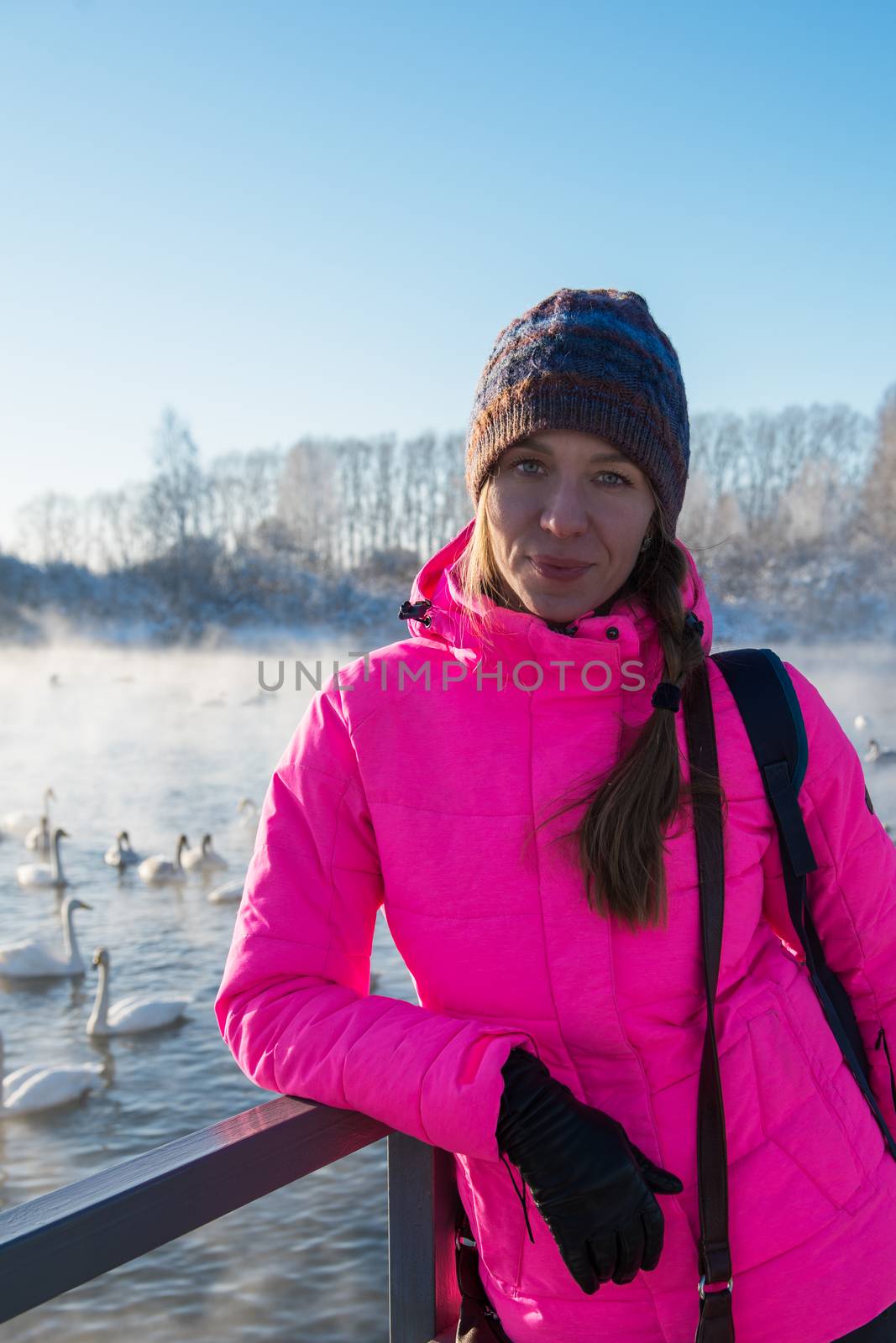 Woman at winter nonfreezing lake with white whooping swans. The place of wintering of swans, Altay, Siberia, Russia.