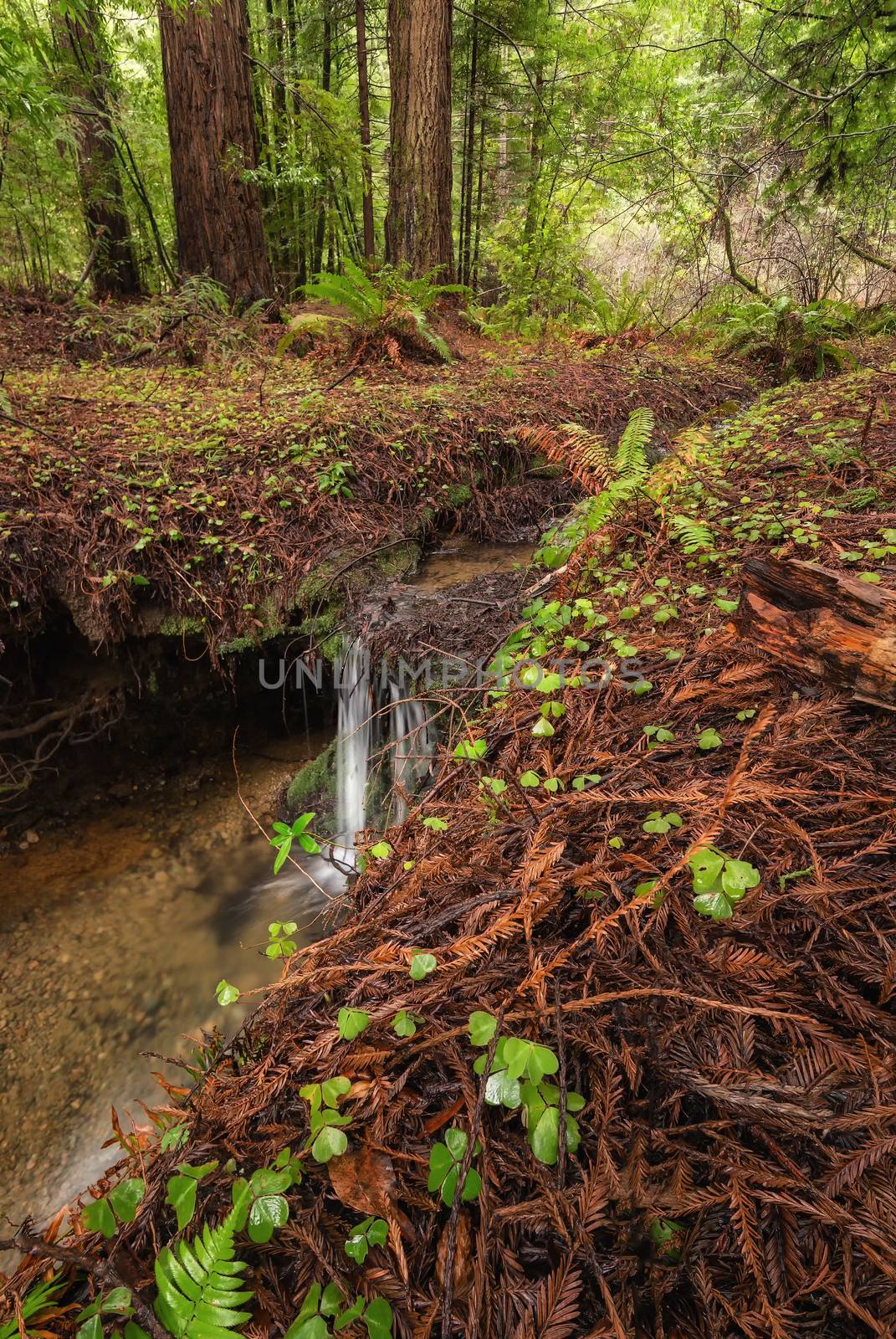 Small Waterfall in the Mountains of Northern California by backyard_photography