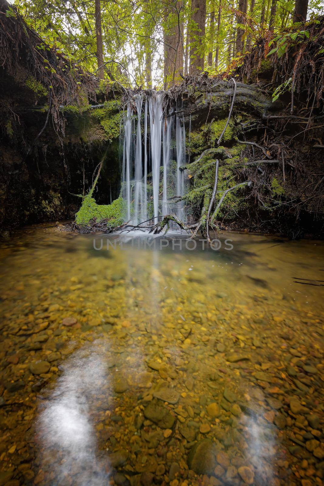 A waterfall in the mountains of Northern California. Color image, day.