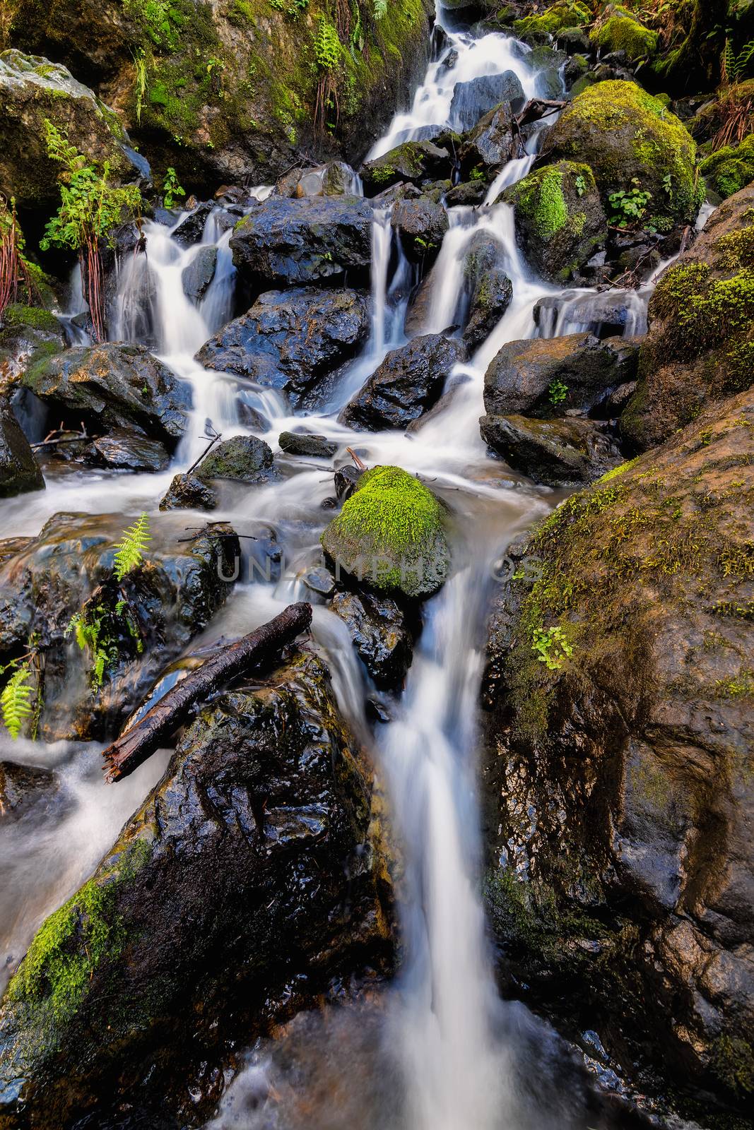 A waterfall in the mountains of Northern California. Color image, day.