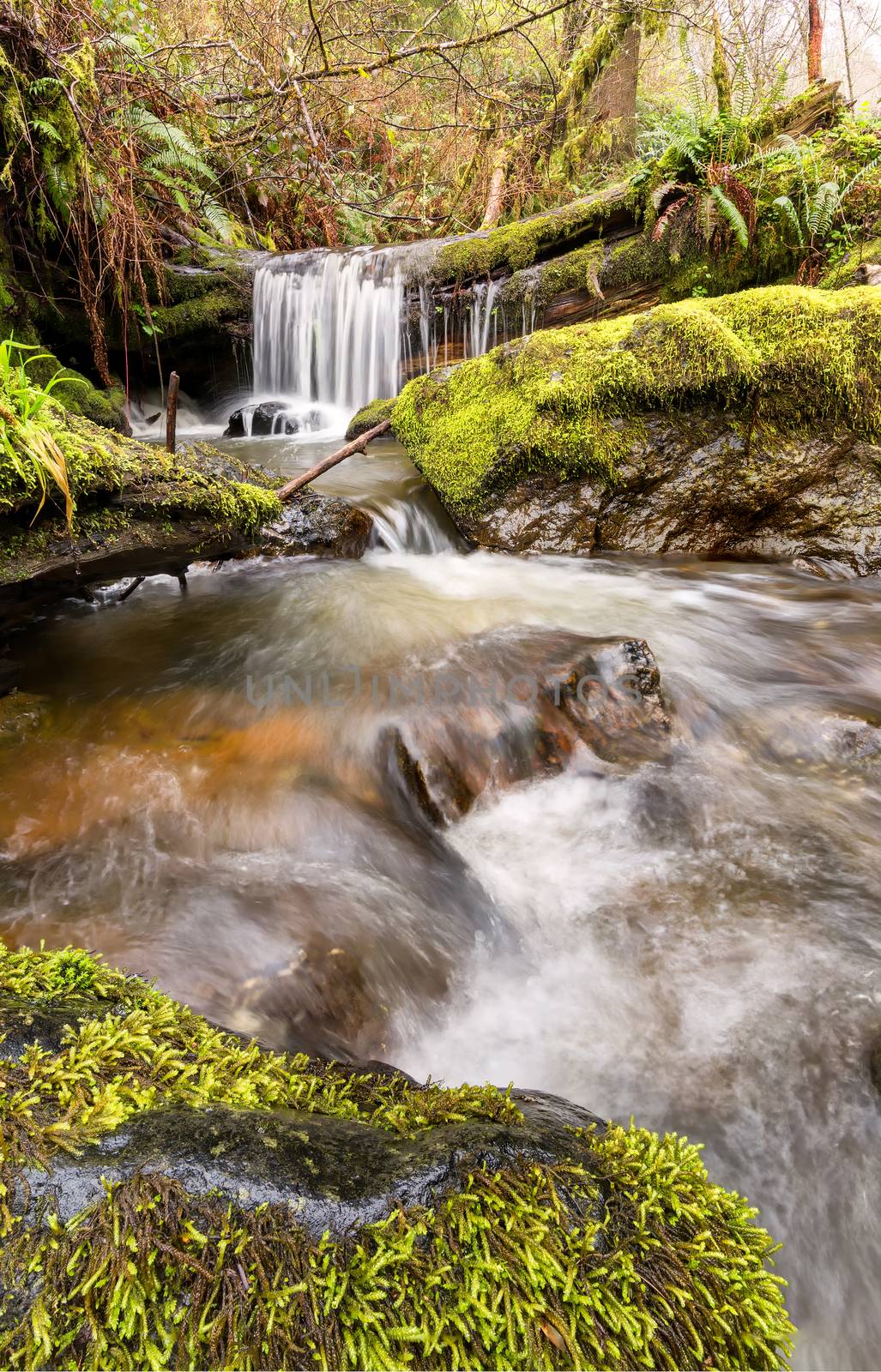 Small Waterfall in the Mountains of Northern California by backyard_photography