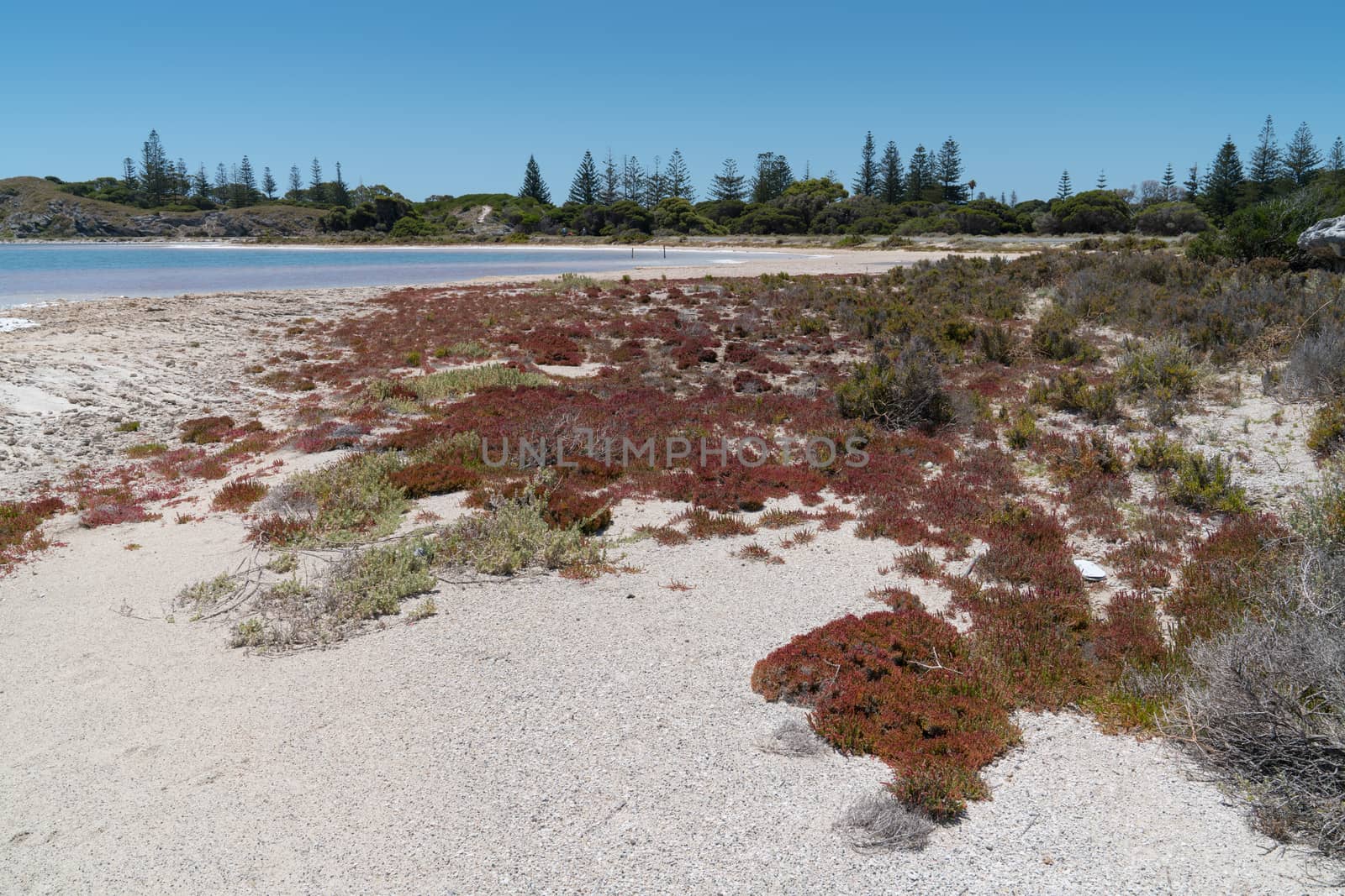 Landscape around the salt lakes of Rottnest Island, Western Australia