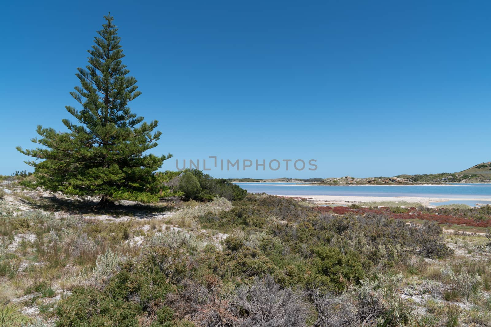 Landscape around the salt lakes of Rottnest Island, Western Australia