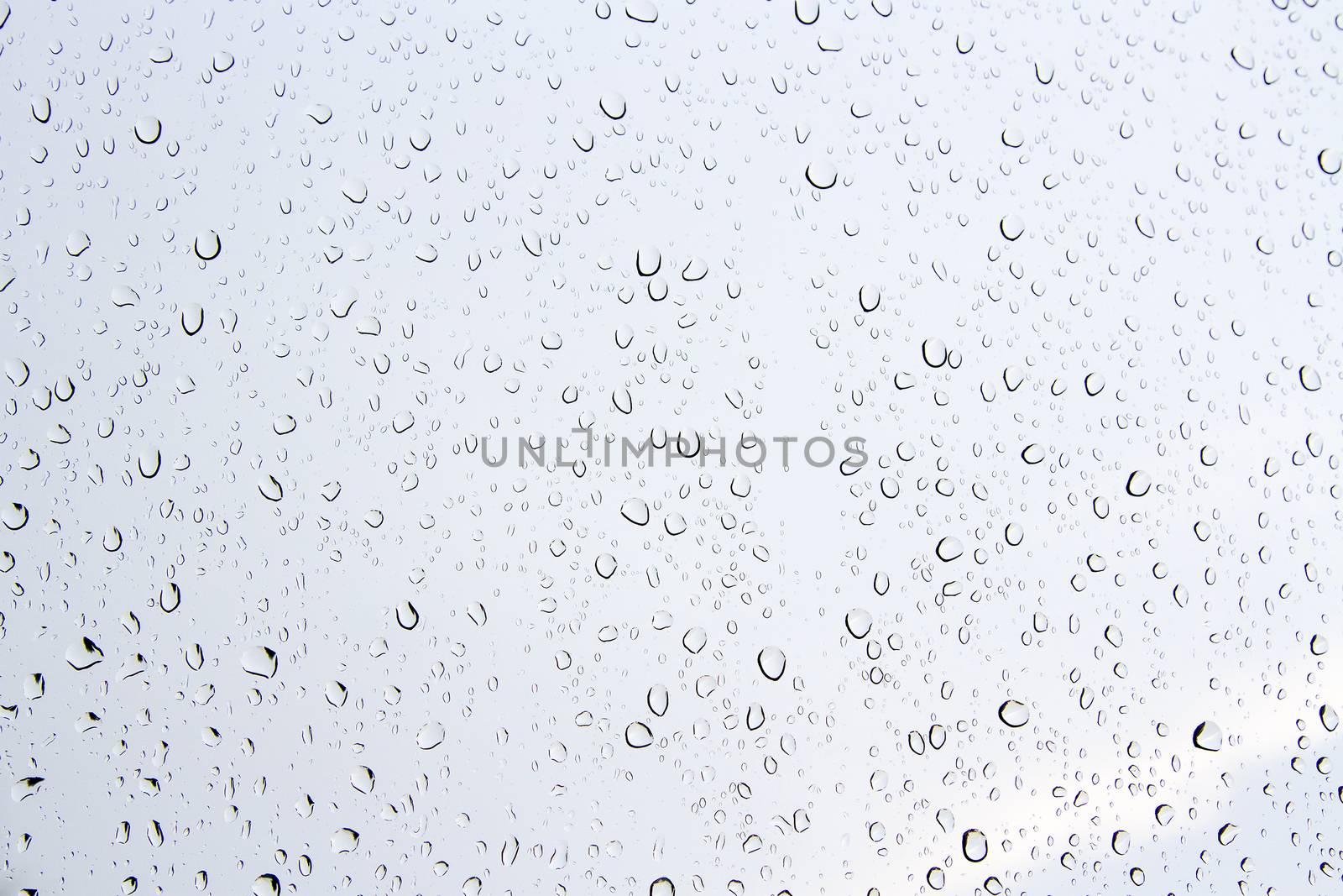 Water drops on glass. by TakerWalker