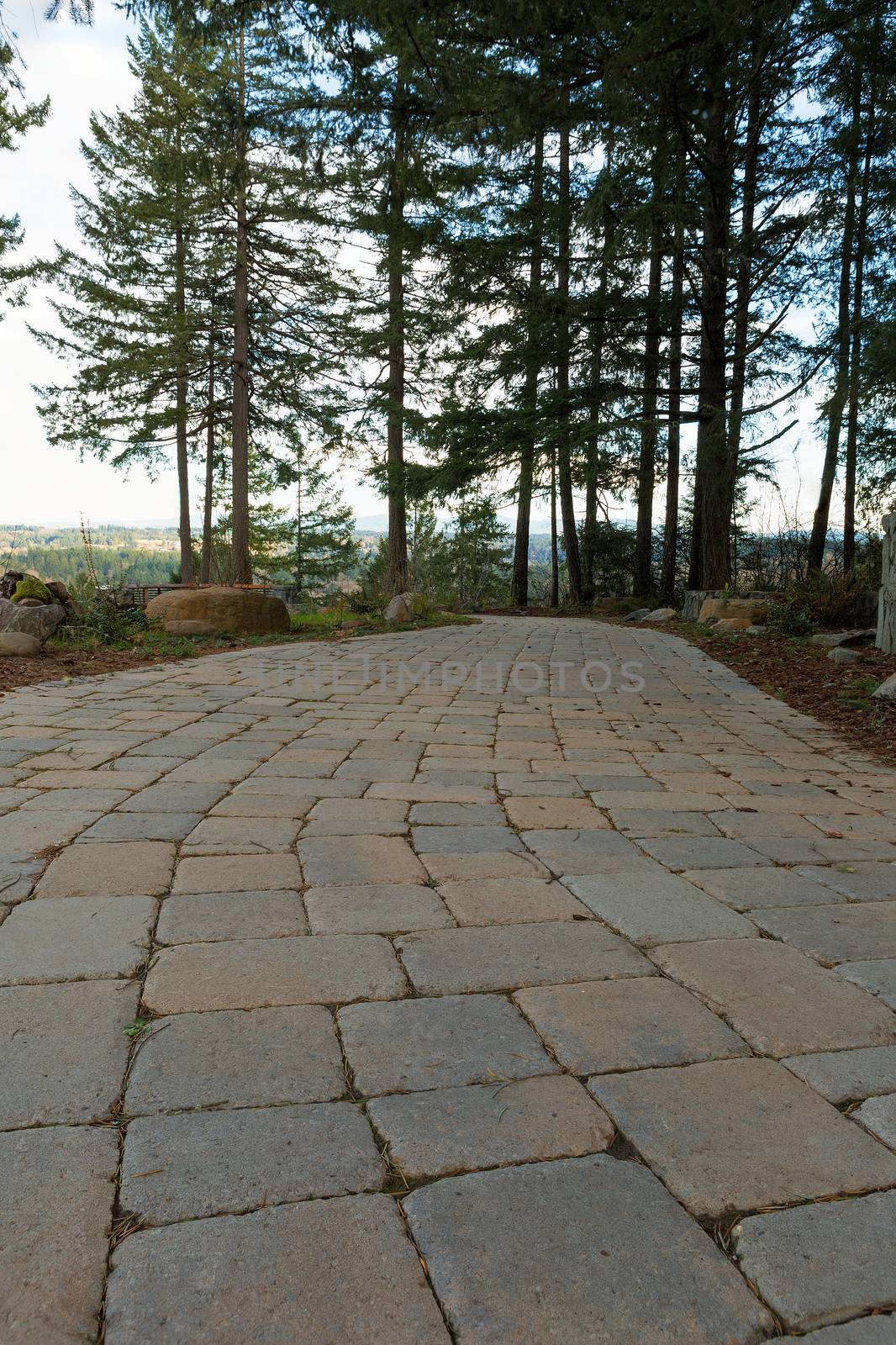 Garden Backyard brick stone concrete pavers walking path hardscape