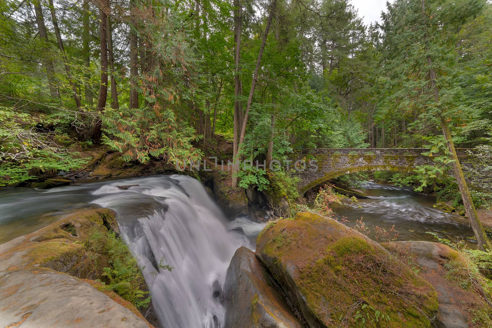 Beside the waterfall in Whatcom Falls Park in Bellingham Washington State