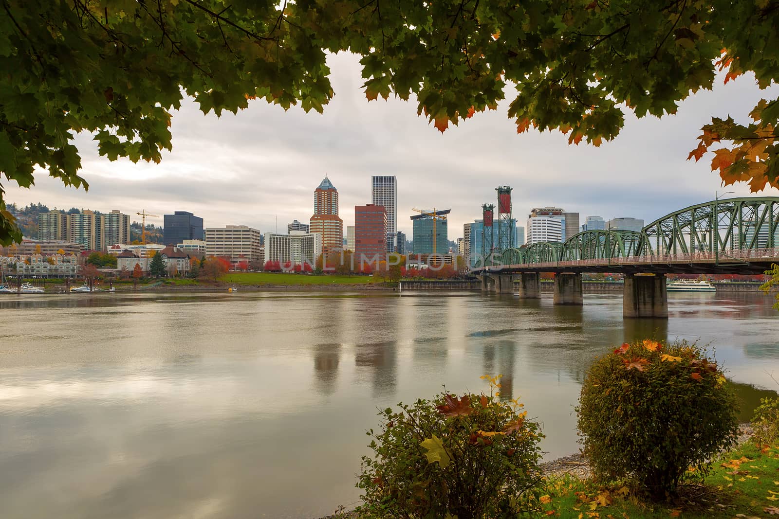 Portland City Skyline Framed by Fall Foliage by jpldesigns