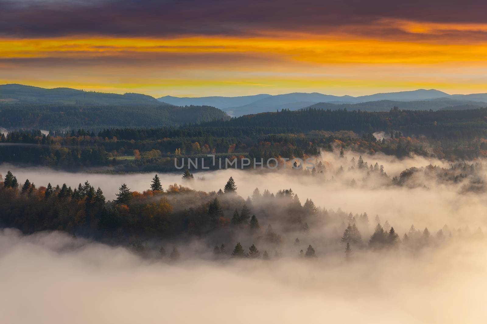 Rolling fog along Sandy River Valley in Clackamas County Oregon during sunrise