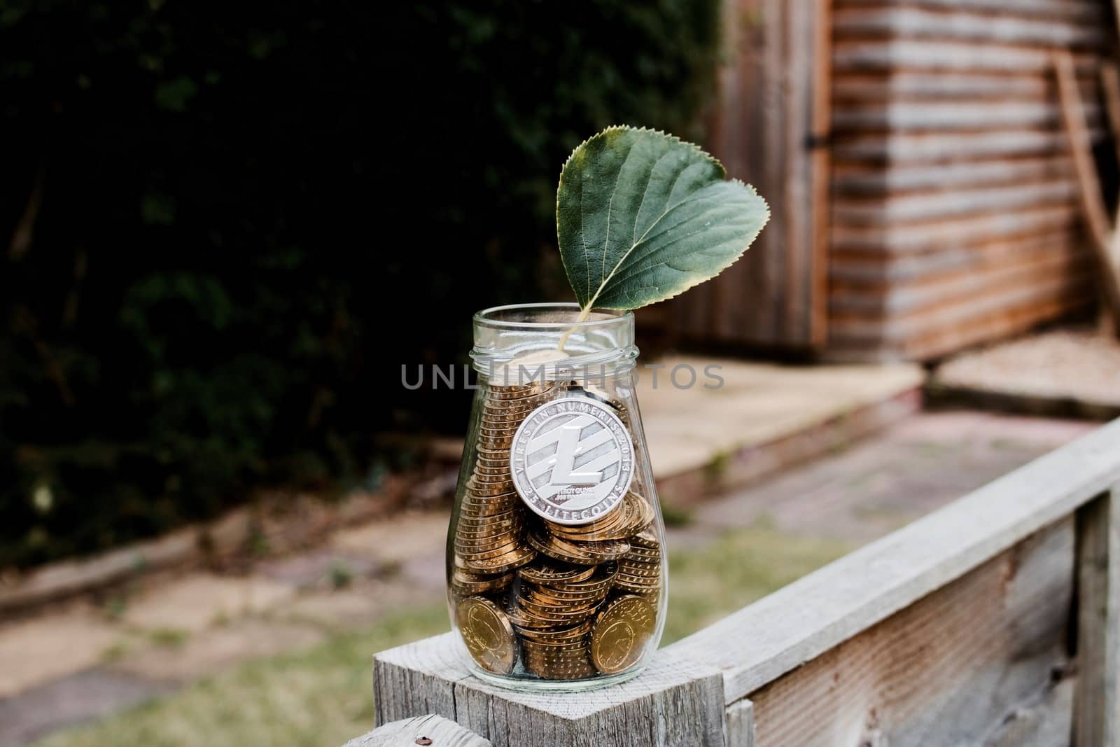 Digital currency physical silver litecoin coin in glass jar in garden with green leaf.