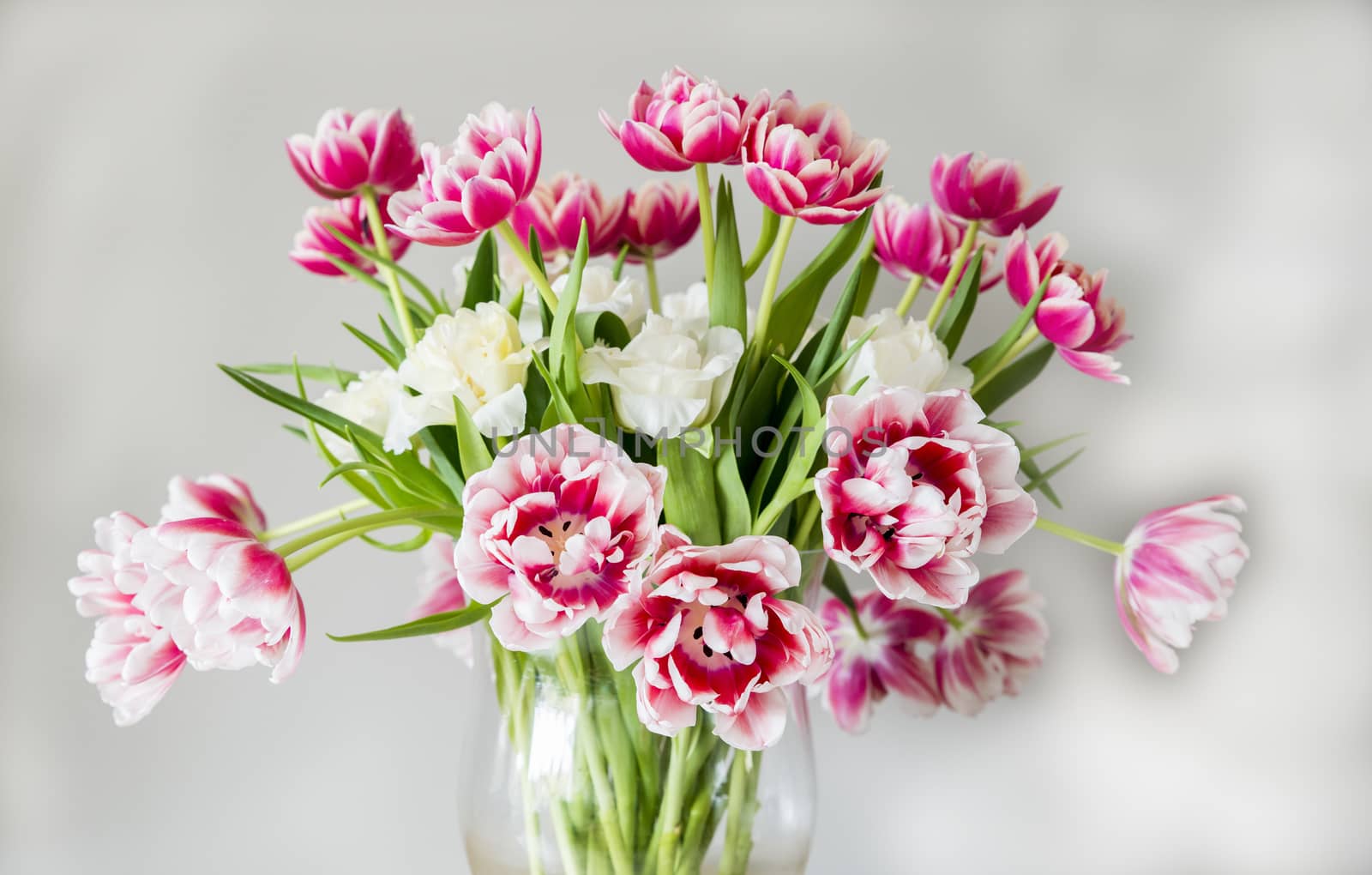 vase with red pink and white tulips on wooden plate 