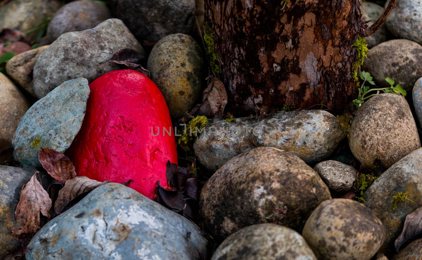 Pile of rocks with 1 painted red next to a tree trunk by experiencesnw