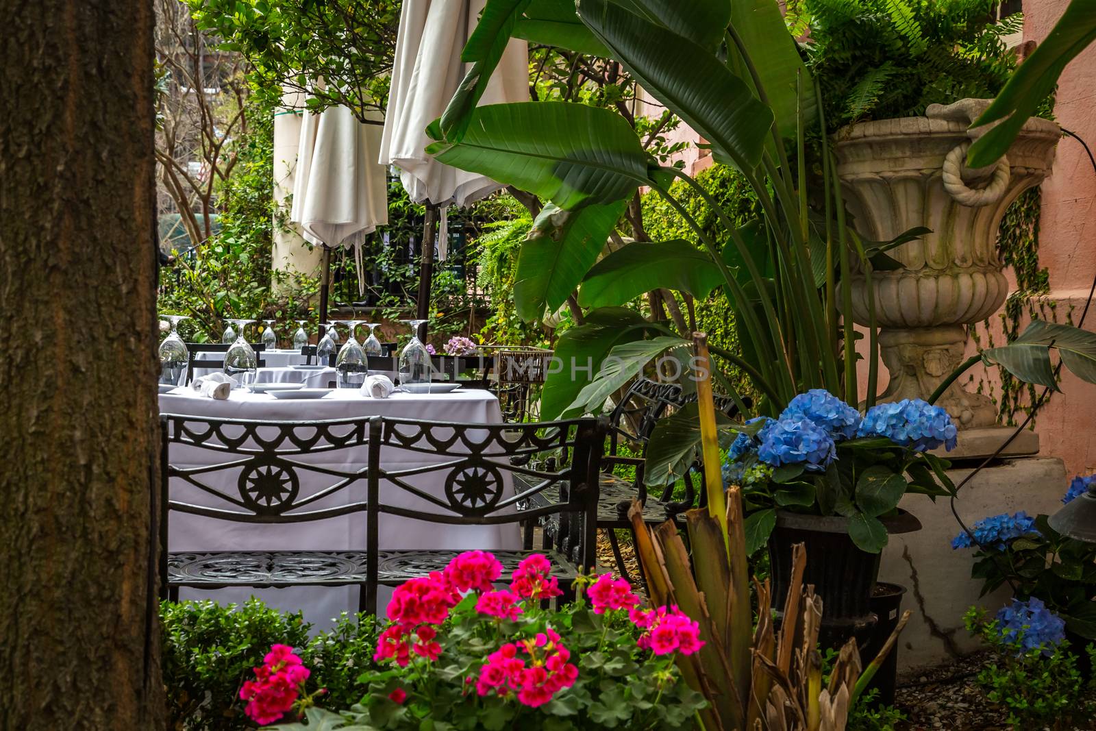 Table settings prepared for outdoor dining in spring weather.