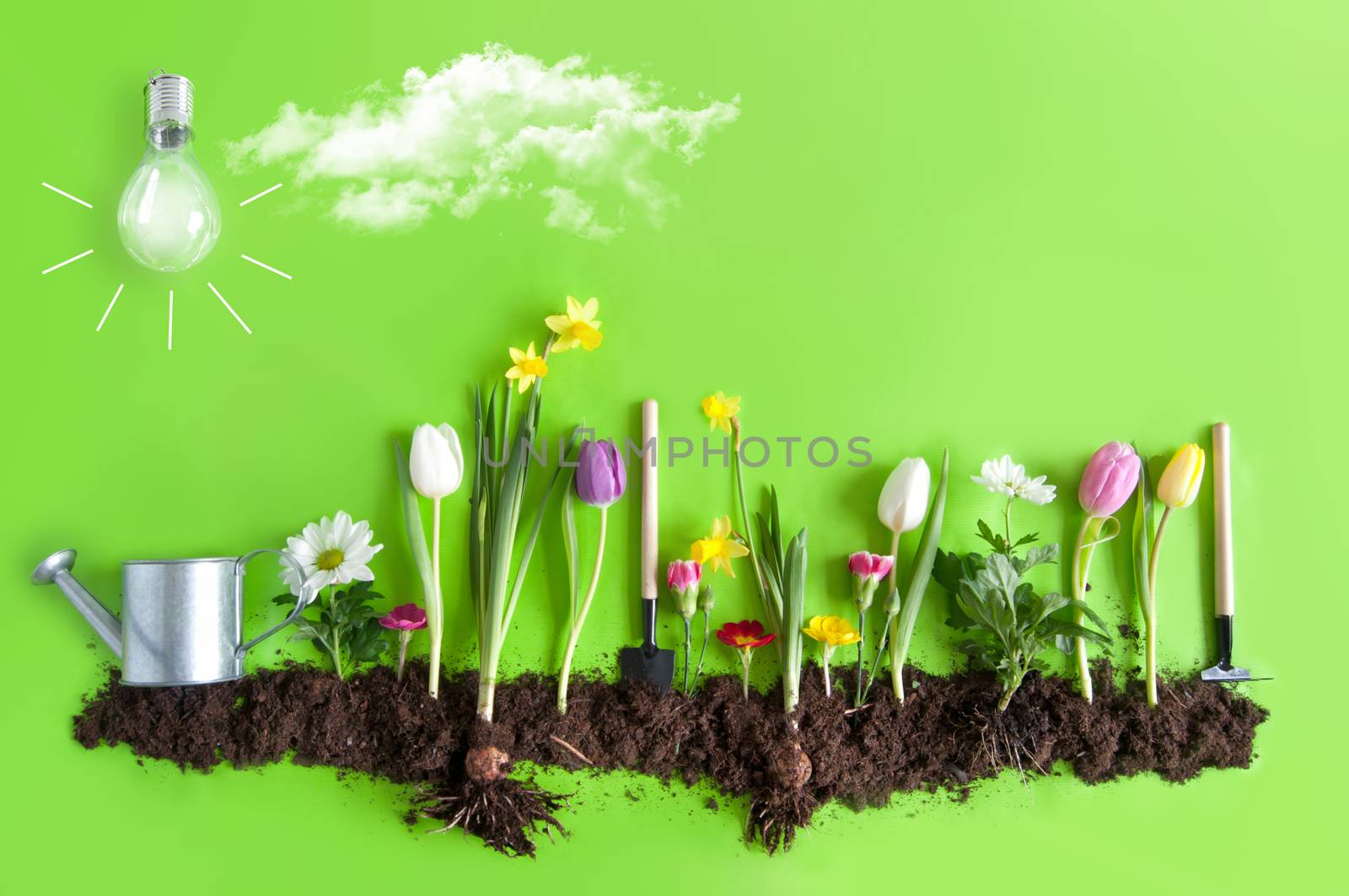 Spring flower bed garden with clouds and light bulb as the sun
