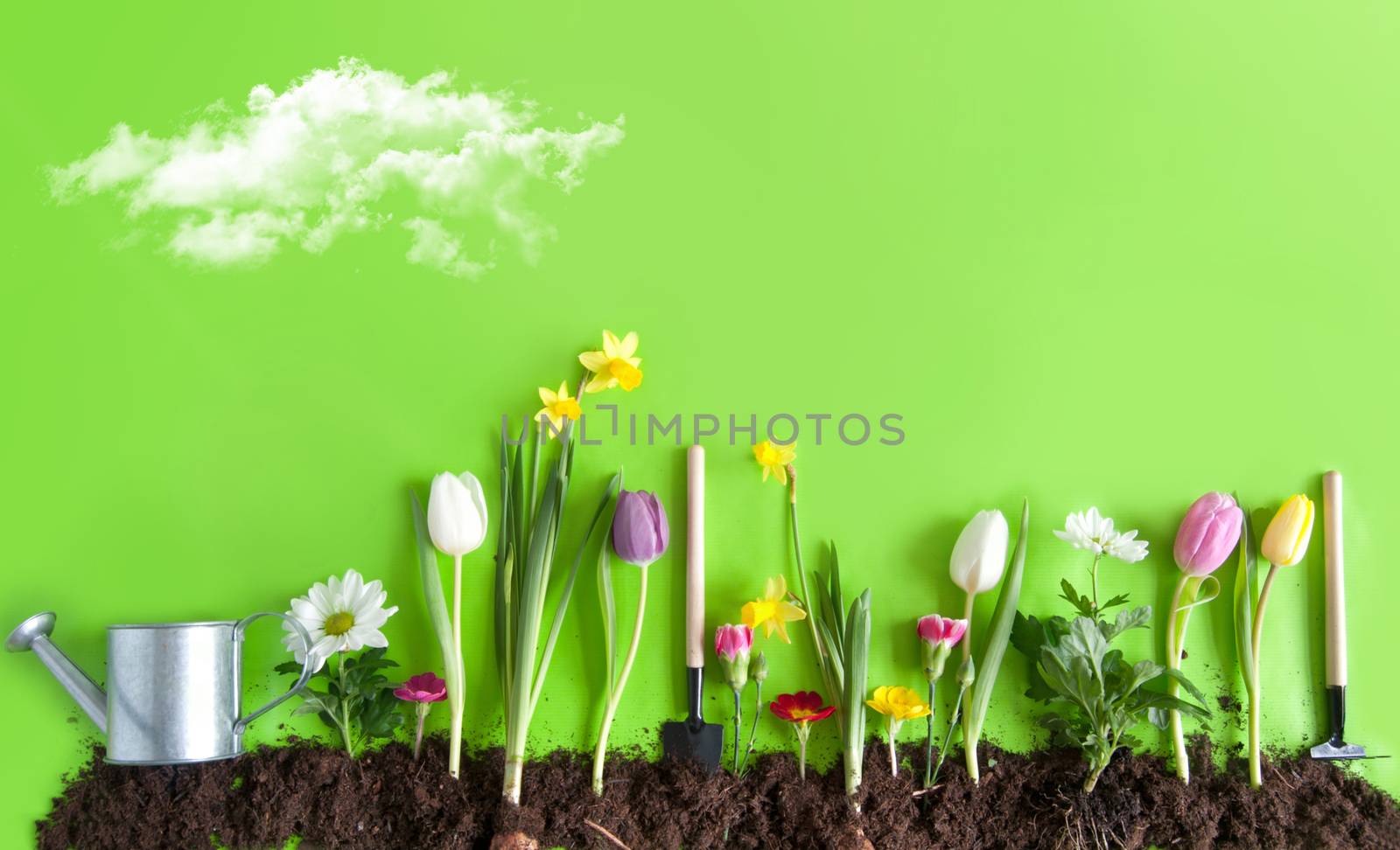 Spring flower bed background by unikpix