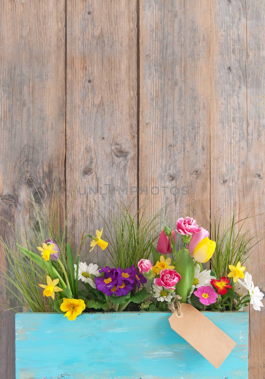 Assorted spring flowers inside a wooden plant holder with blank label attached