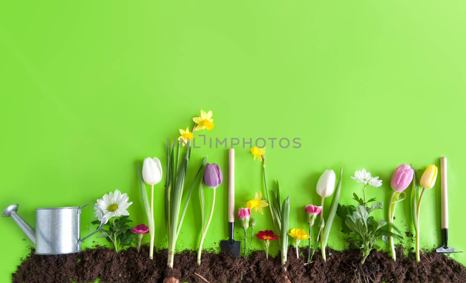 Spring flower bed garden on green paper background with space