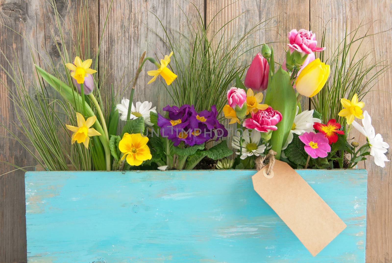 Assorted spring flowers inside a wooden plant holder with blank label attached 