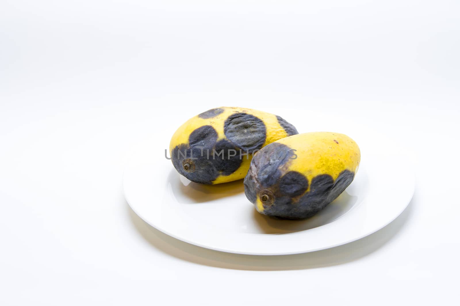 Mango rot in a white plate on a white background.