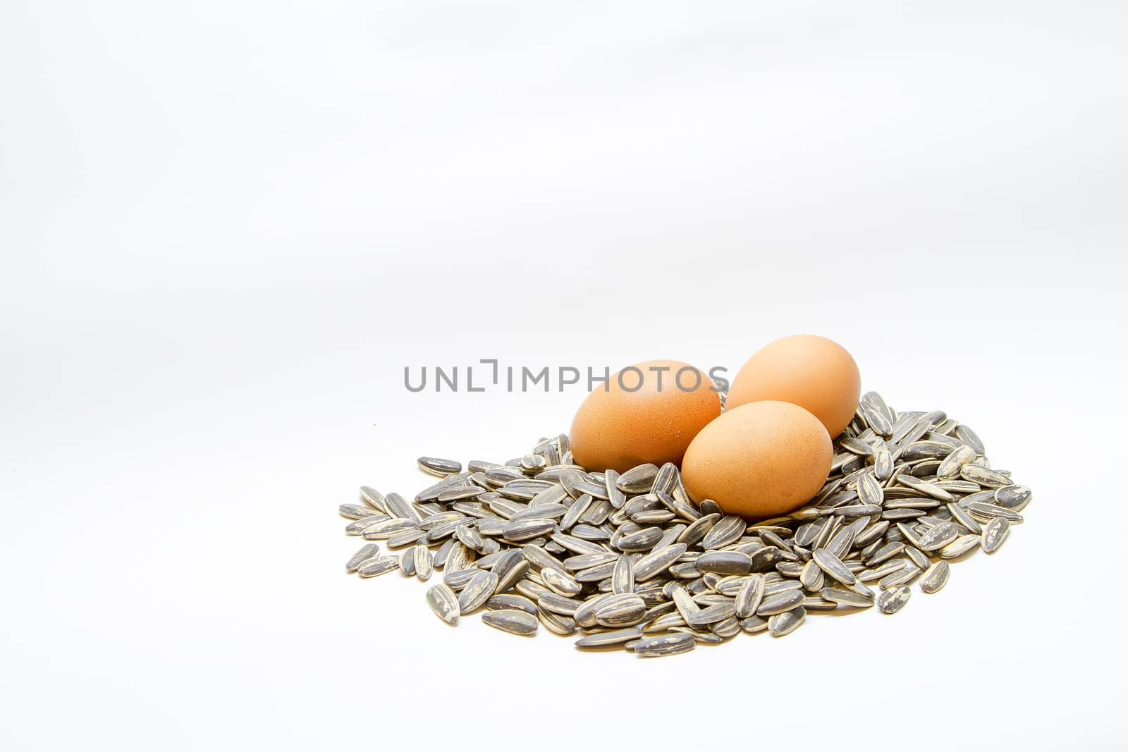 Eggs with sunflower seeds White background by TakerWalker