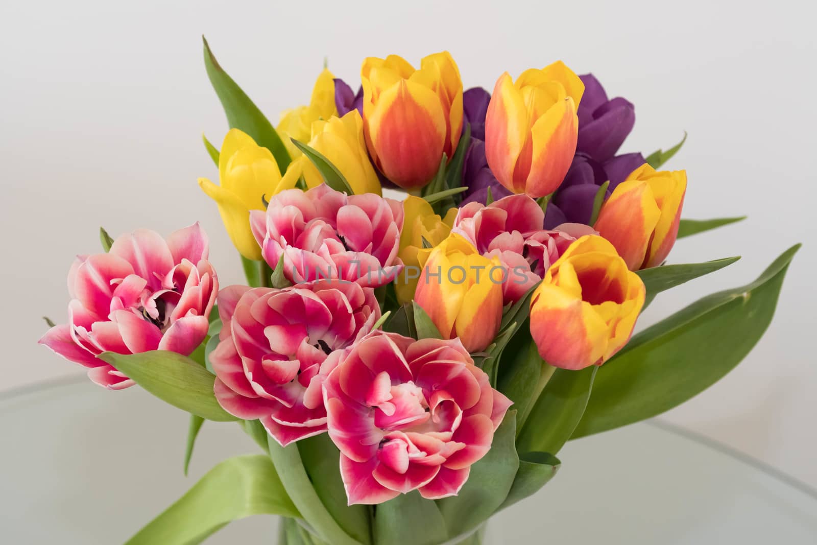 bunch of tulips by riverheron_photos
