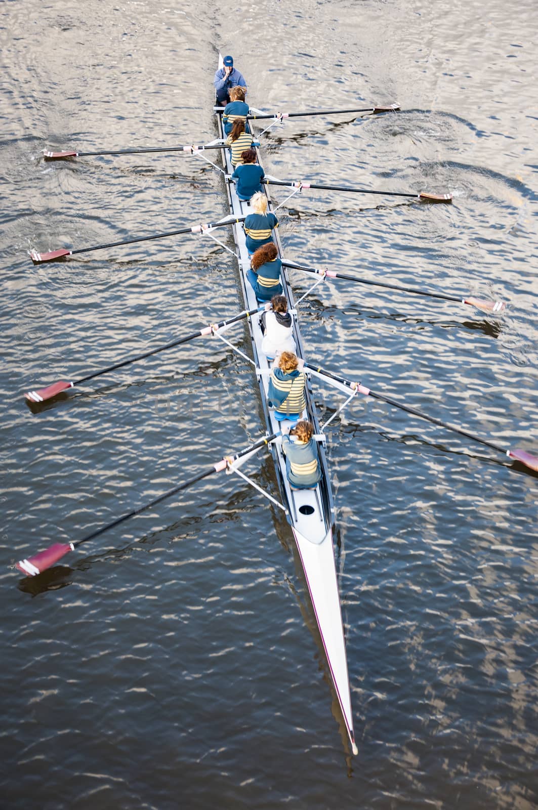 ADELAIDE, AUSTRALIA - AUGUST 5: rowing training on the river downtown on August 5, 2010 in Adelaide, south Australia