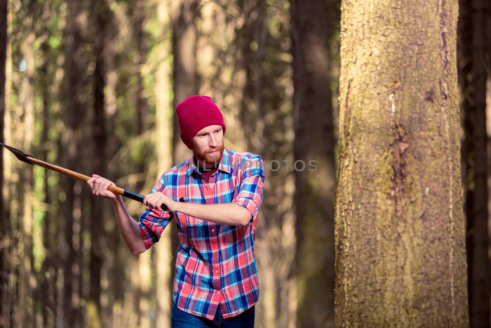 the lumberjack swung his ax to cut a tree into the forest