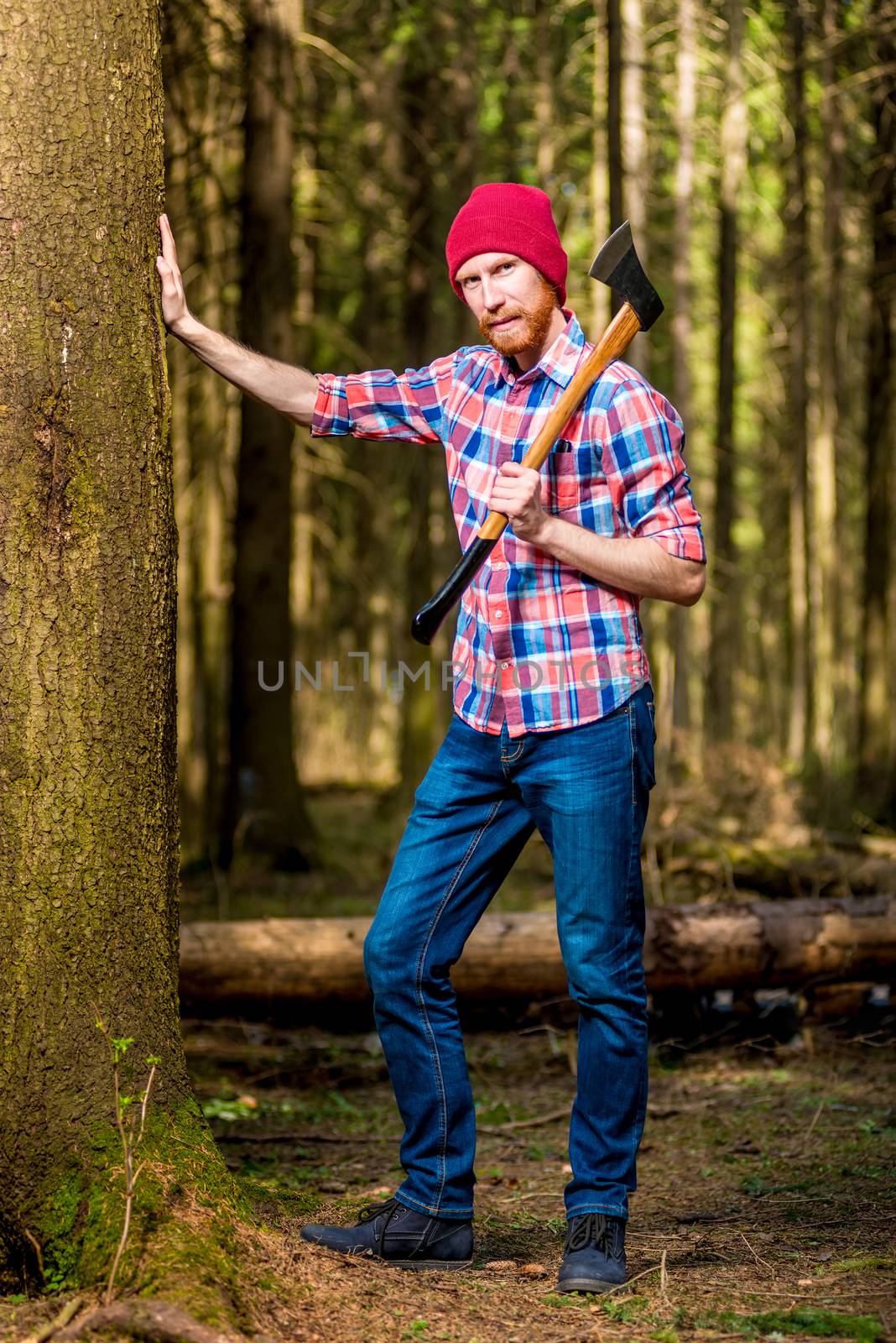 vertical portrait of a full-length bearded lumberjack with an ax near a tree in the woods