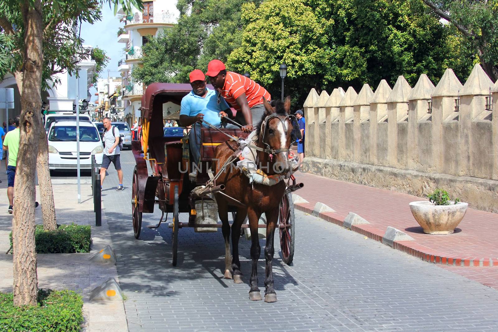 A horse-drawn carriage seen on the streets of Santo Domingo by friday