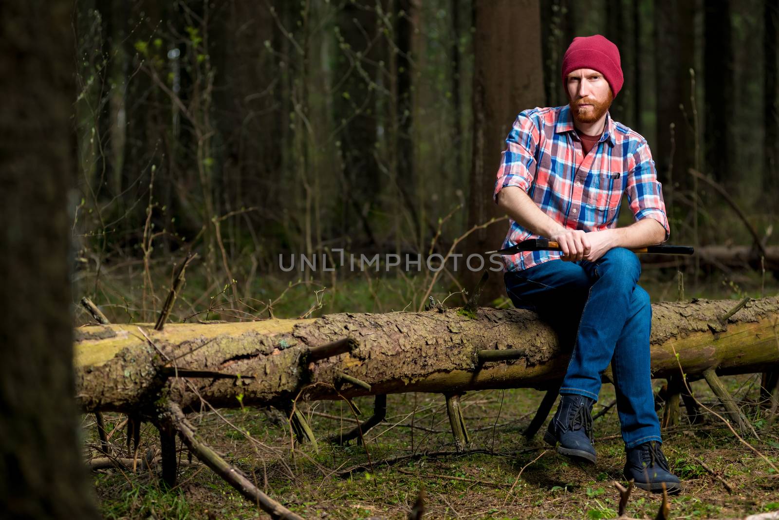 forester with a beard resting on a fallen tree in the forest