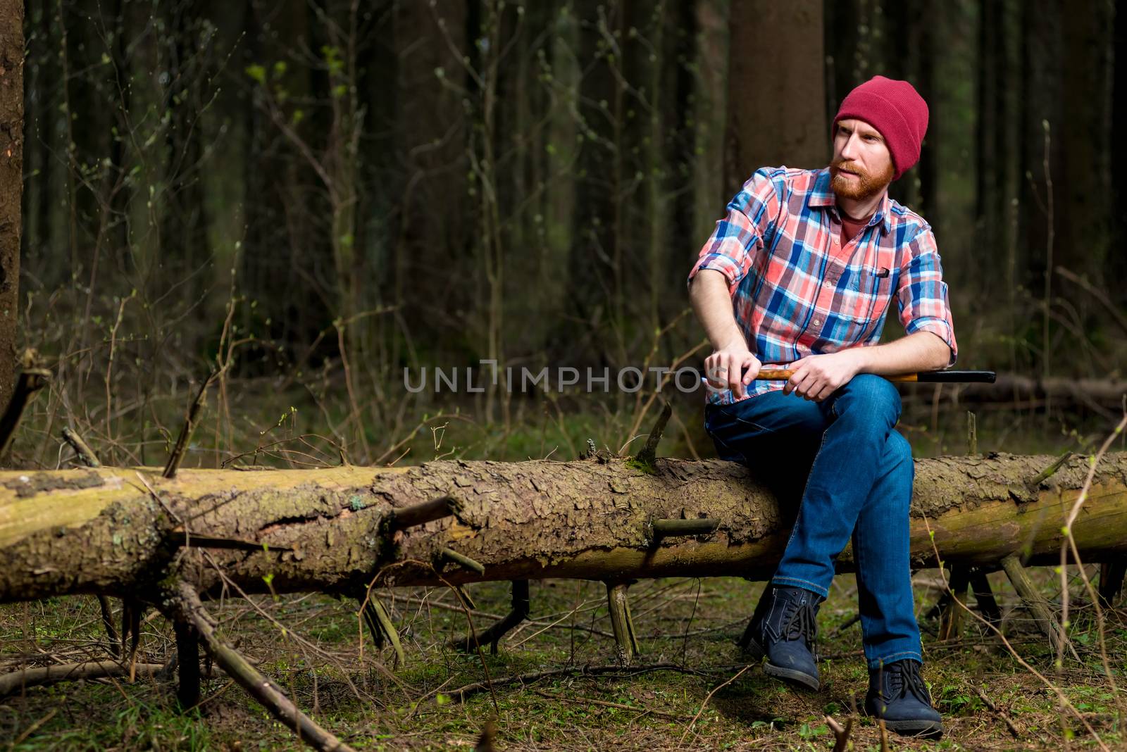 a brooding forester with a beard resting on a fallen tree in the forest