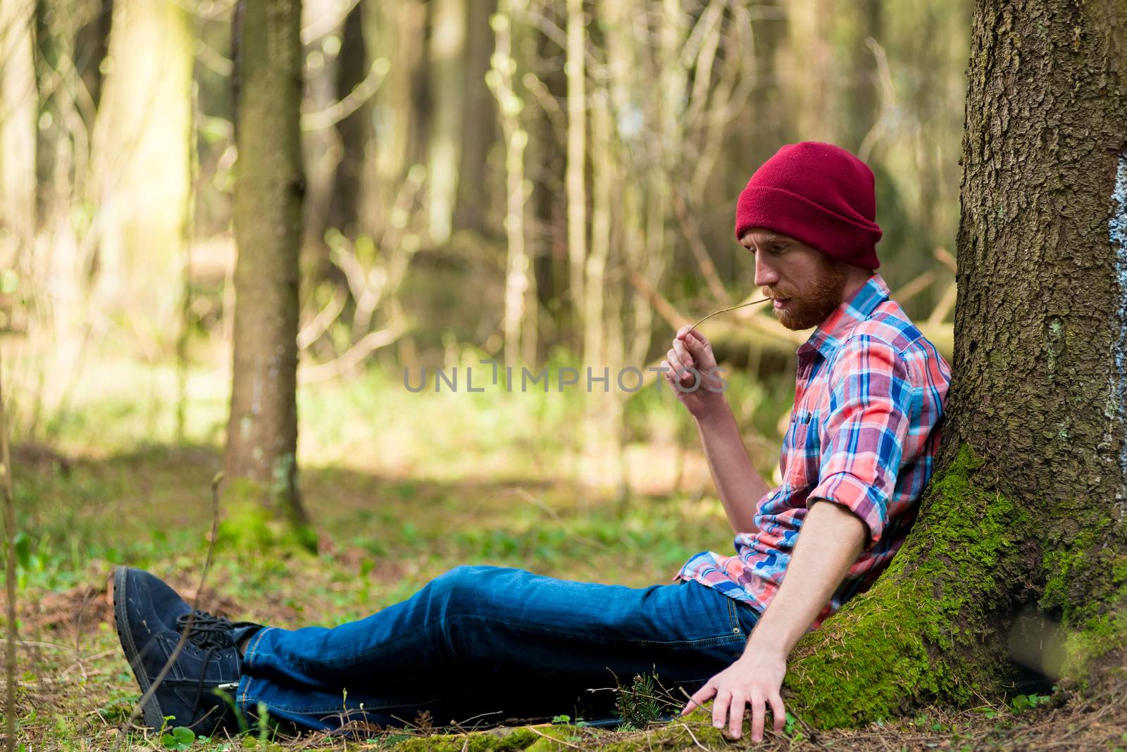 portrait of a man in a cap and plaid shirt sitting near a tree in the forest