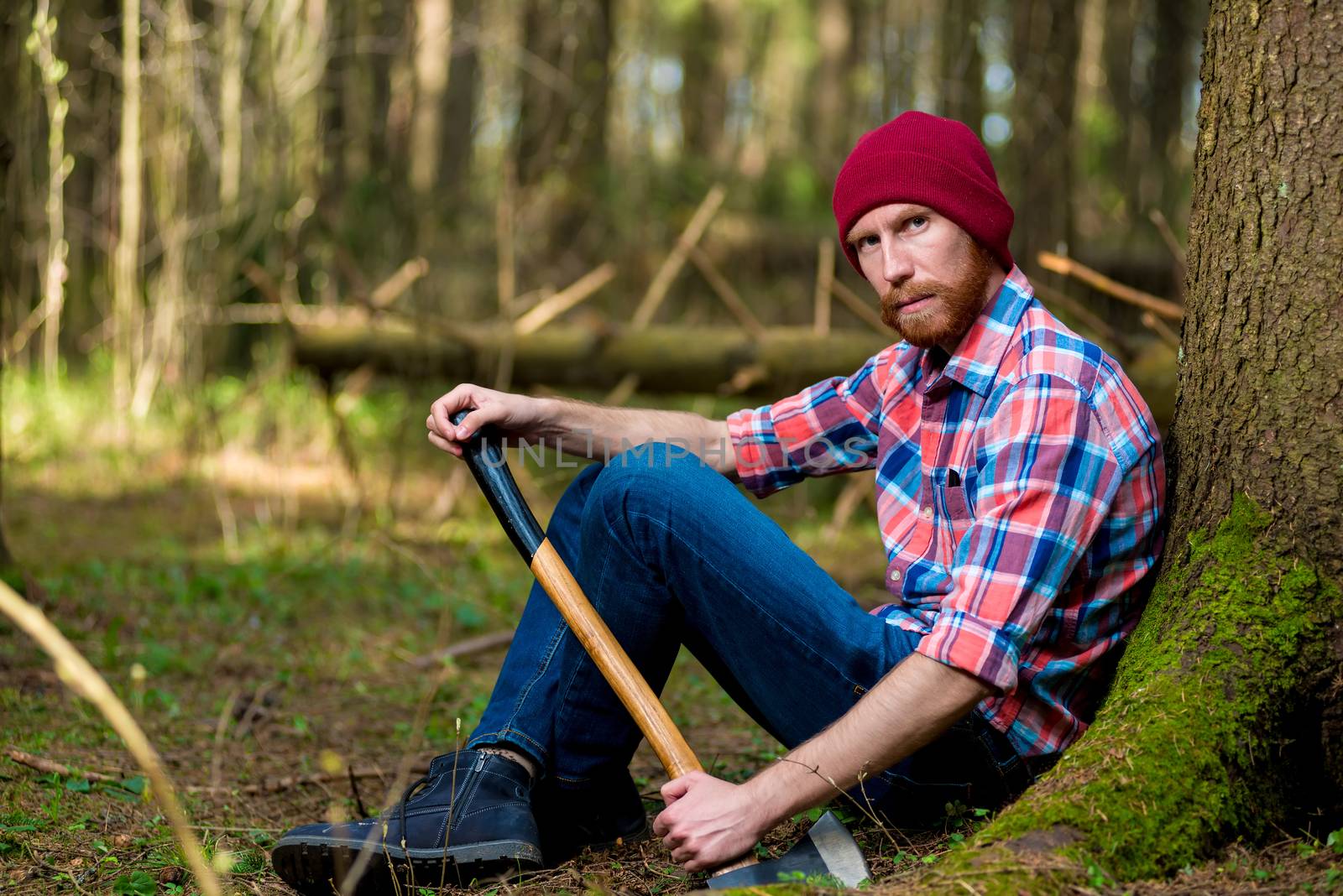 watchful lumberjack on vacation near a tree in the forest