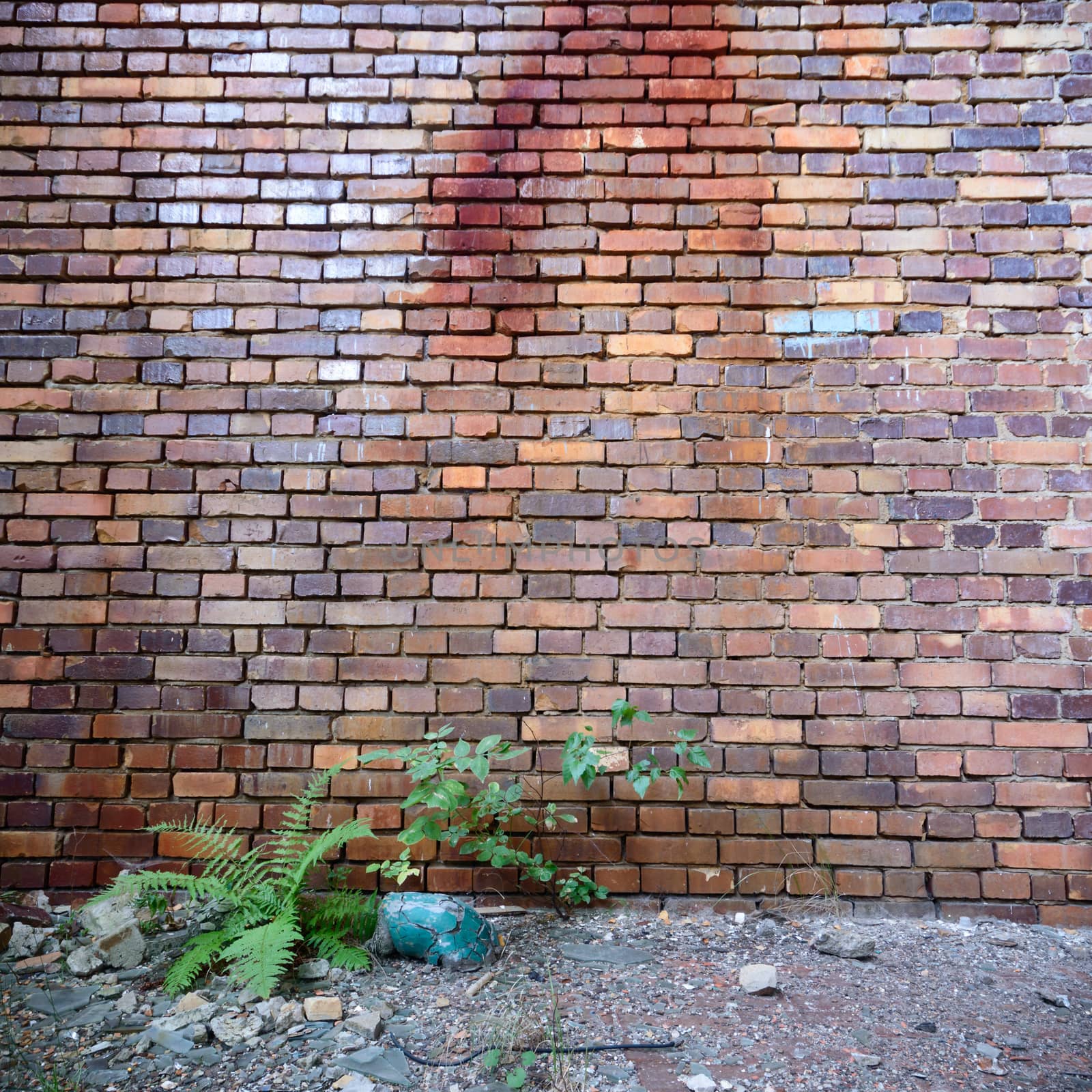 wide angle view of an old wall abandoned factory building